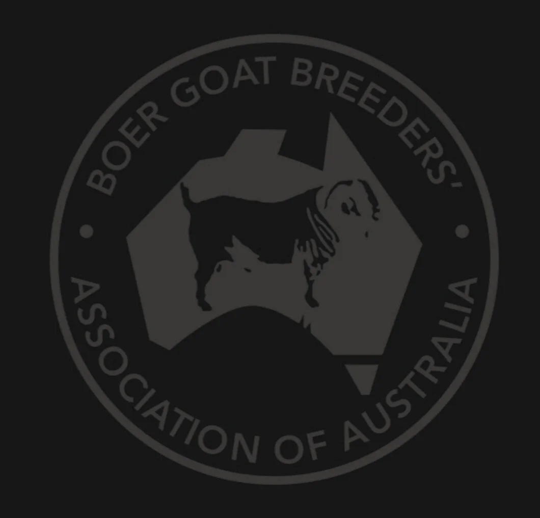 Formation of the 2020/2021 Federal Board of BGBAA