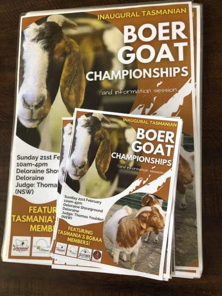 Tasmanian Boer Goat Championships