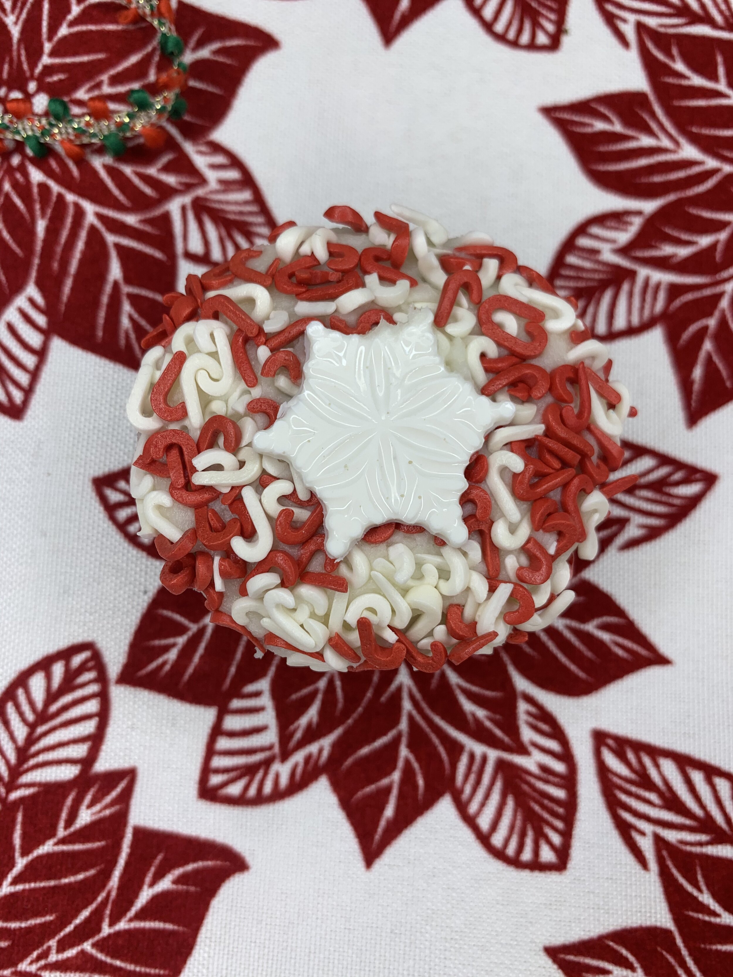 Snowflake 004.jpeg