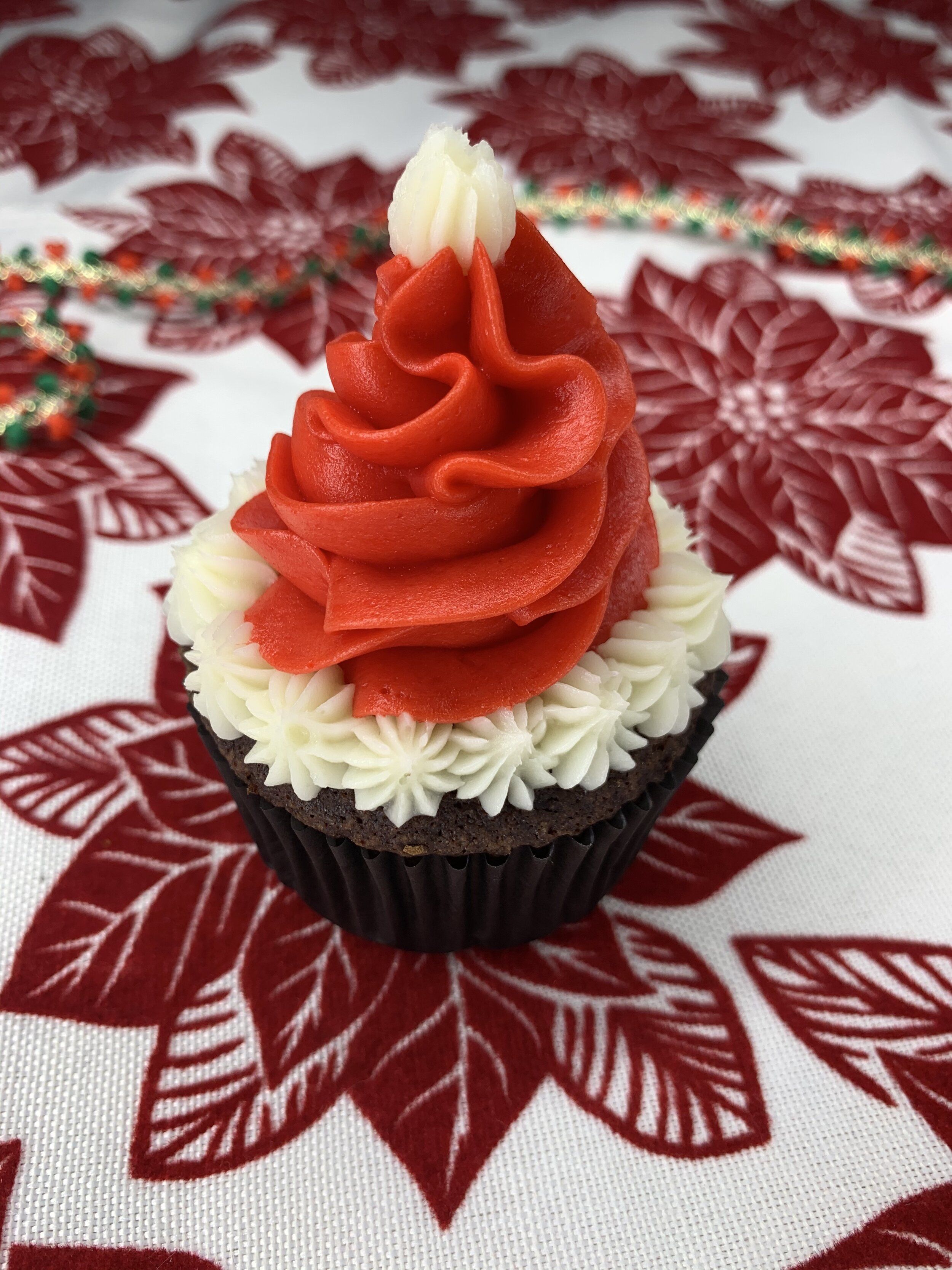 Santa Hat 001.jpeg