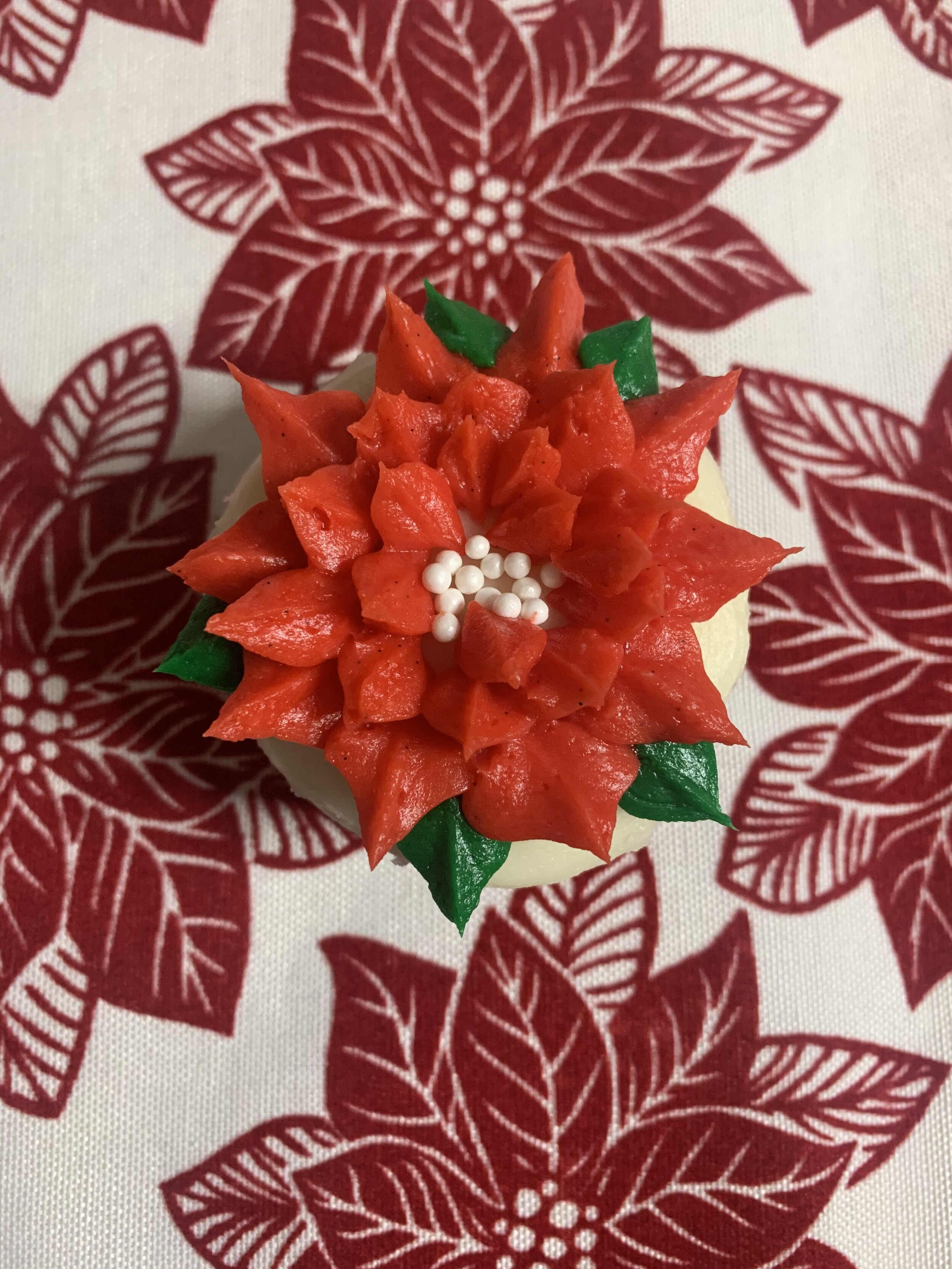 Poinsettia 006.jpeg