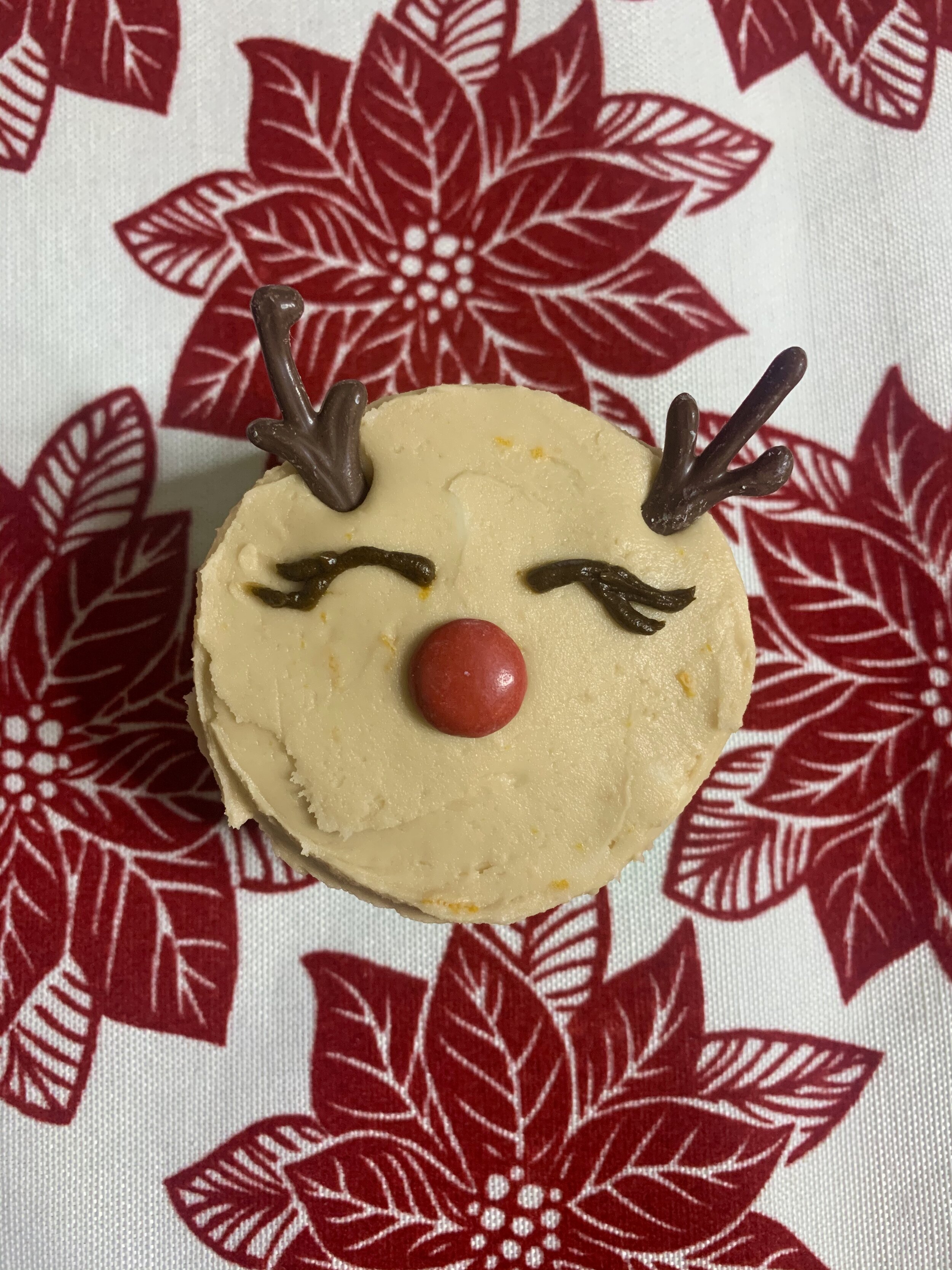 Rudolph 008.jpeg
