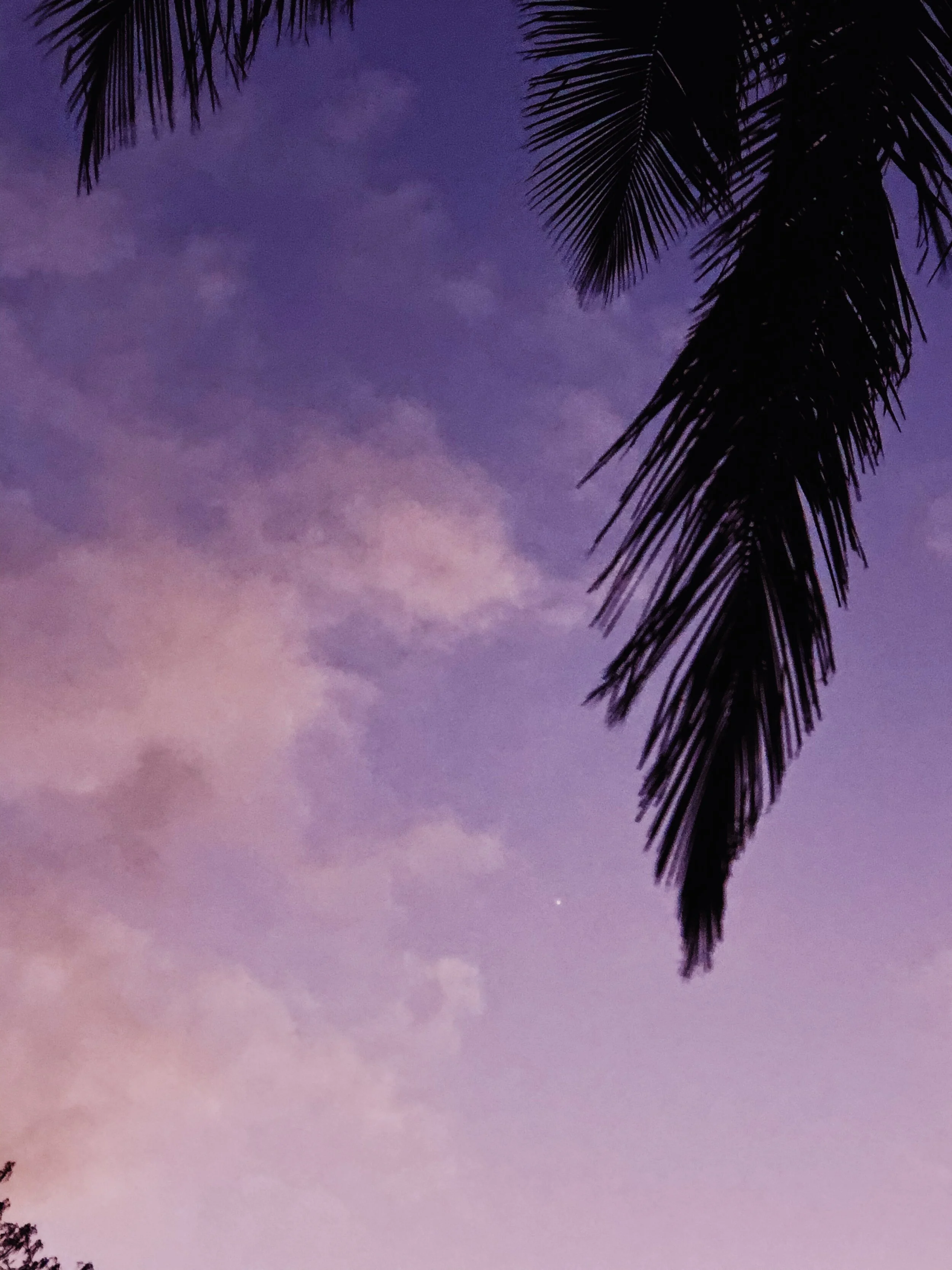 BE4030C6-1776-45B8-B3BC-9DD285F81A04.jpg