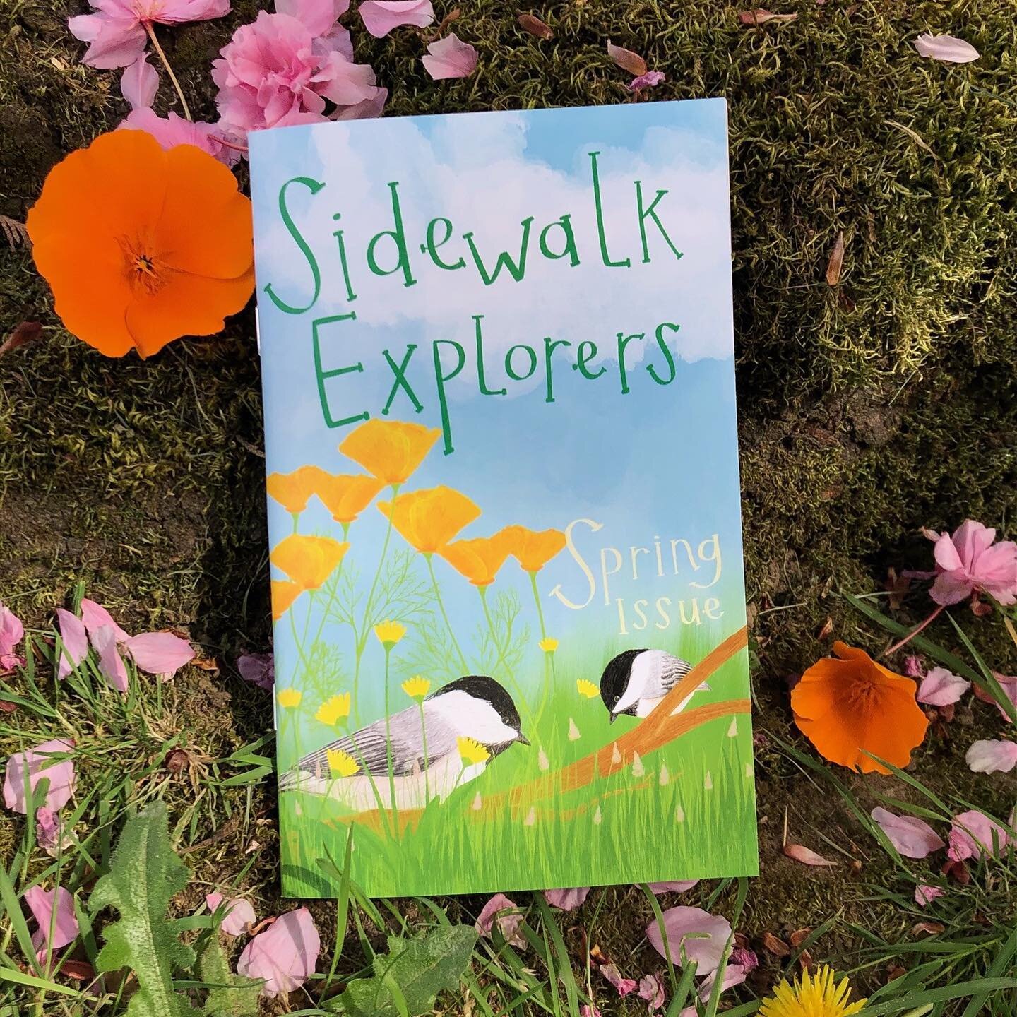 We are so excited to announce that the spring issue of Side walk Explorers is available! ⁣
⁣
The Spring Issue features a total of 15 plants and trees that bloom in the spring. Each plant and tree includes a vibrant illustration, helpful facts for ide