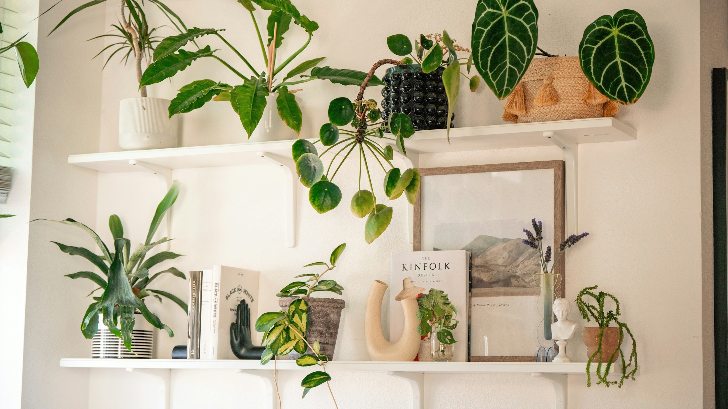 white book shelves with plants and baskets