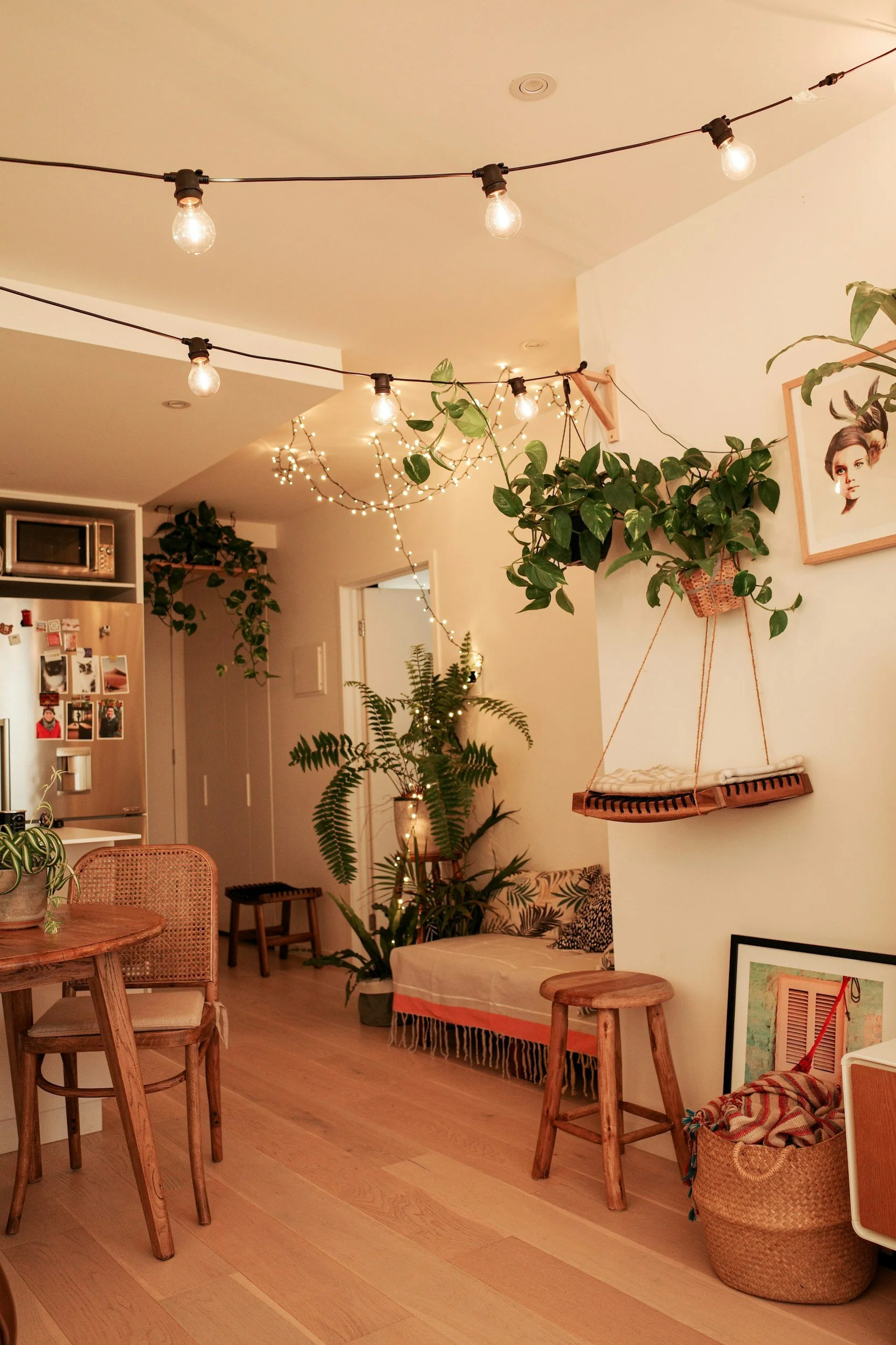 tiny kitchen with plants and cafe string lights