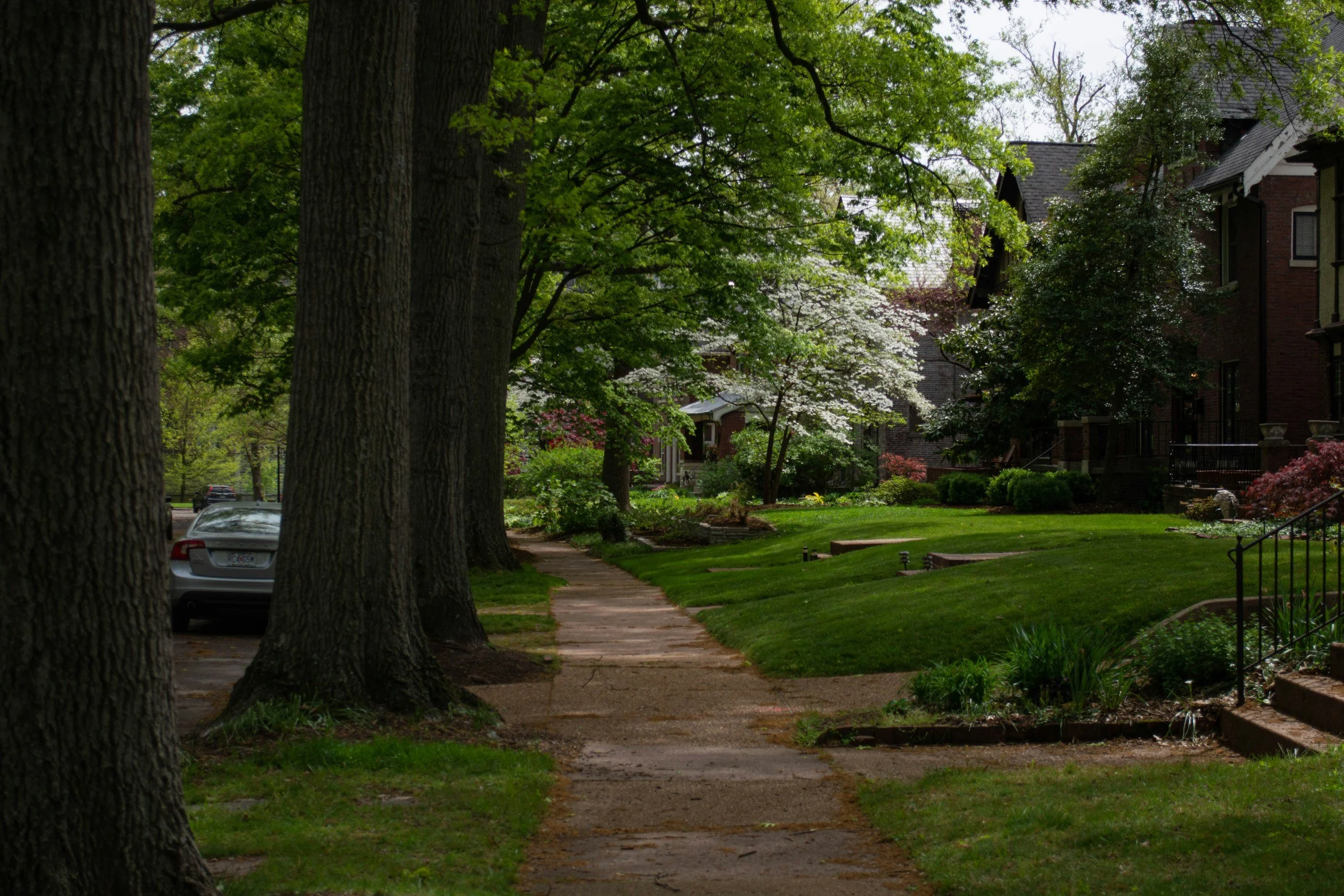 neighborhood with green lawns and trees