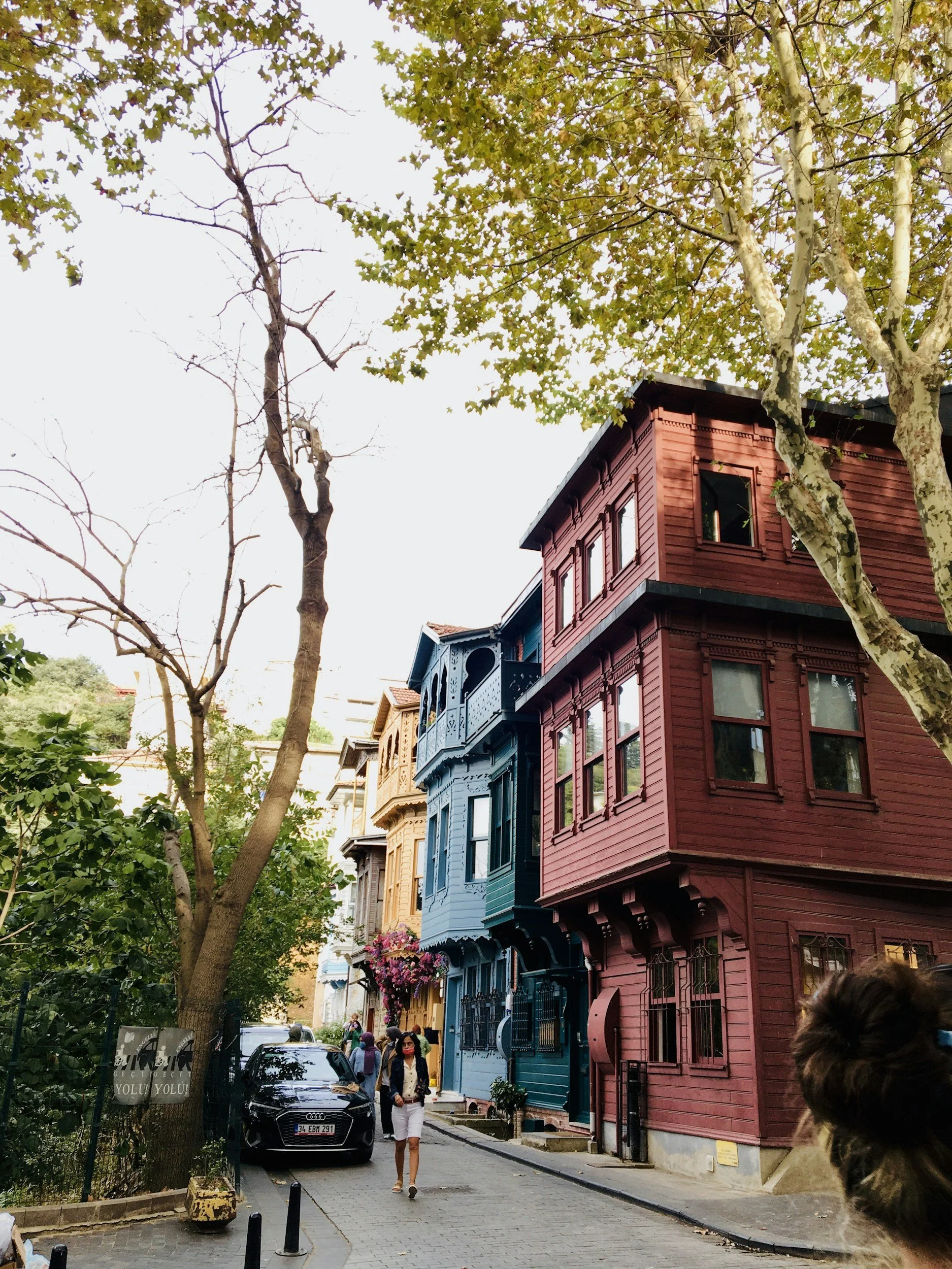 red blue and yellow row houses in city tree lined neighborhood