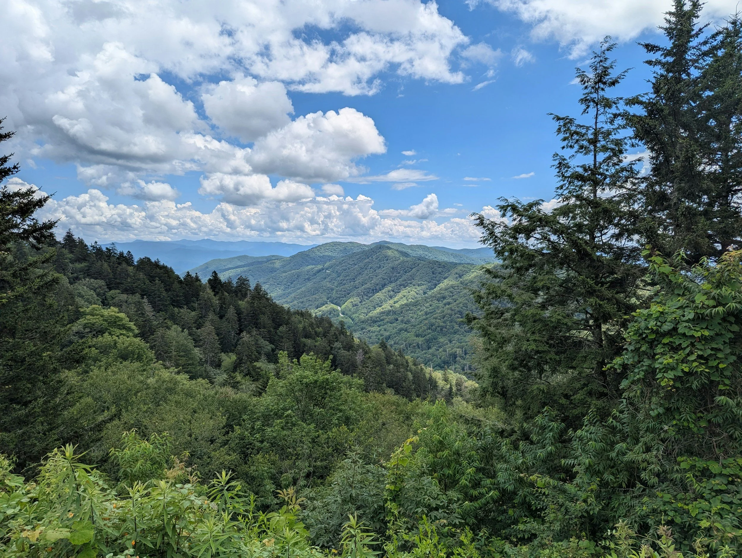mountain view with green trees and blue skies