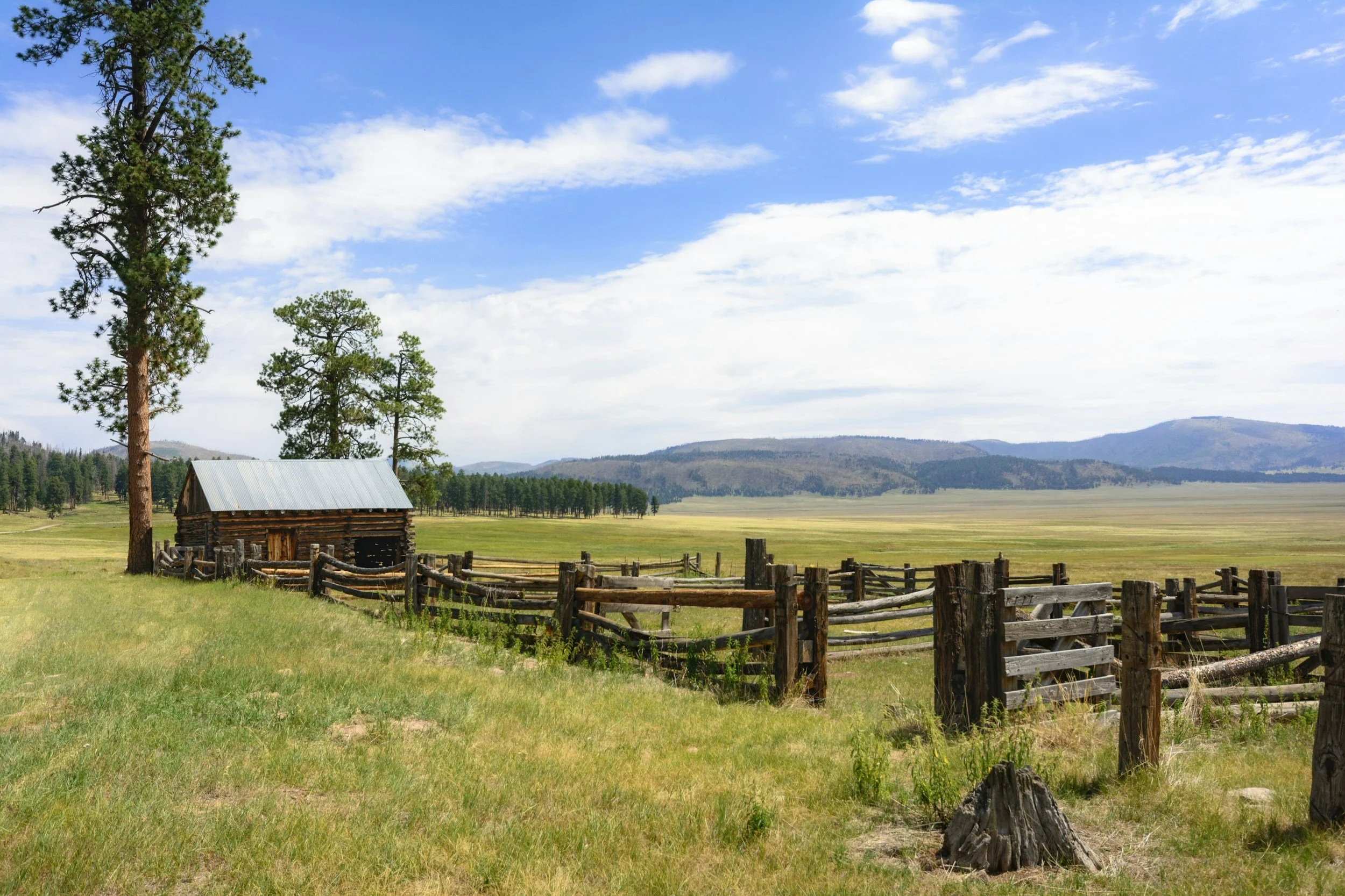 log barn with green pastures and mountain veiws