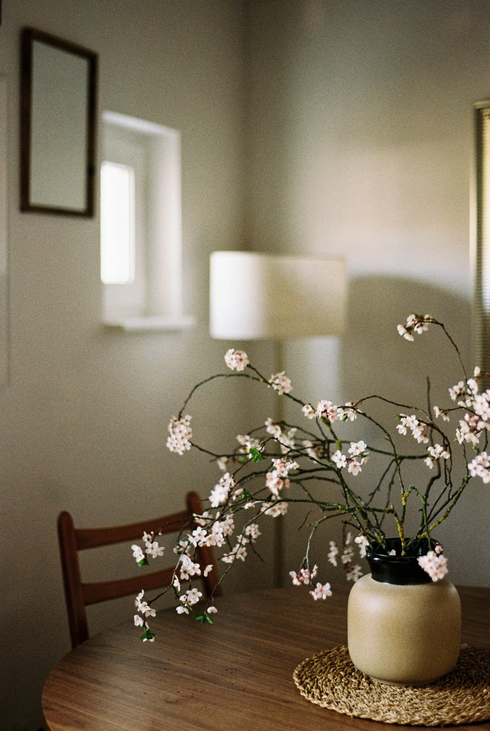 cherry blossom branches in vase at wood table