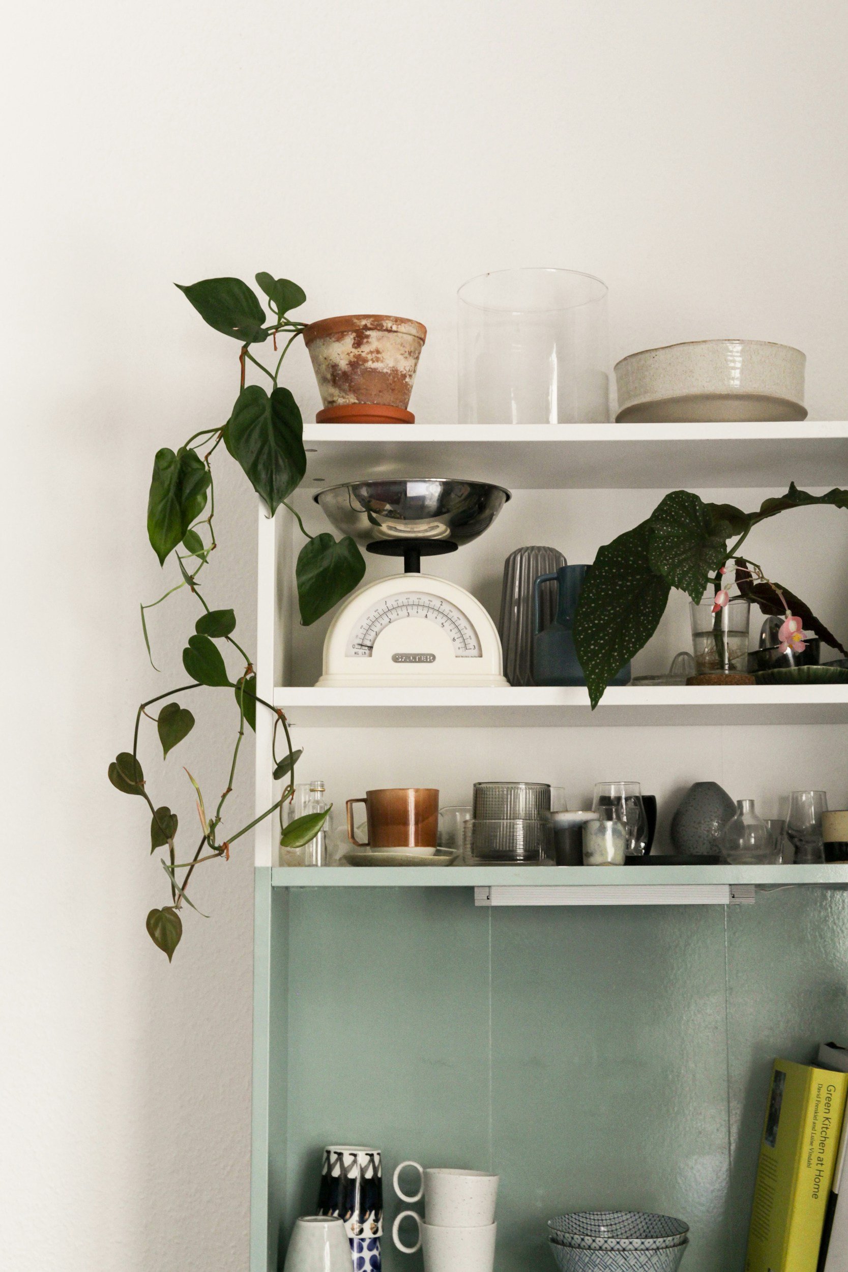 aqua and white kitchen shelves