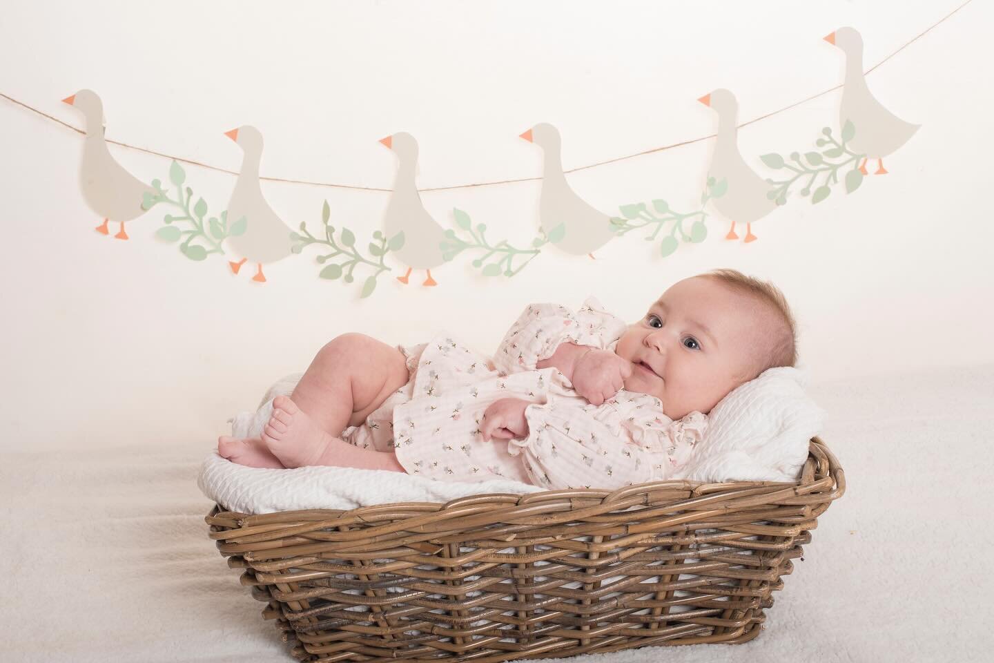 Adele ✨ #babygirl #babyphotography #babyphotographer #familyphotography