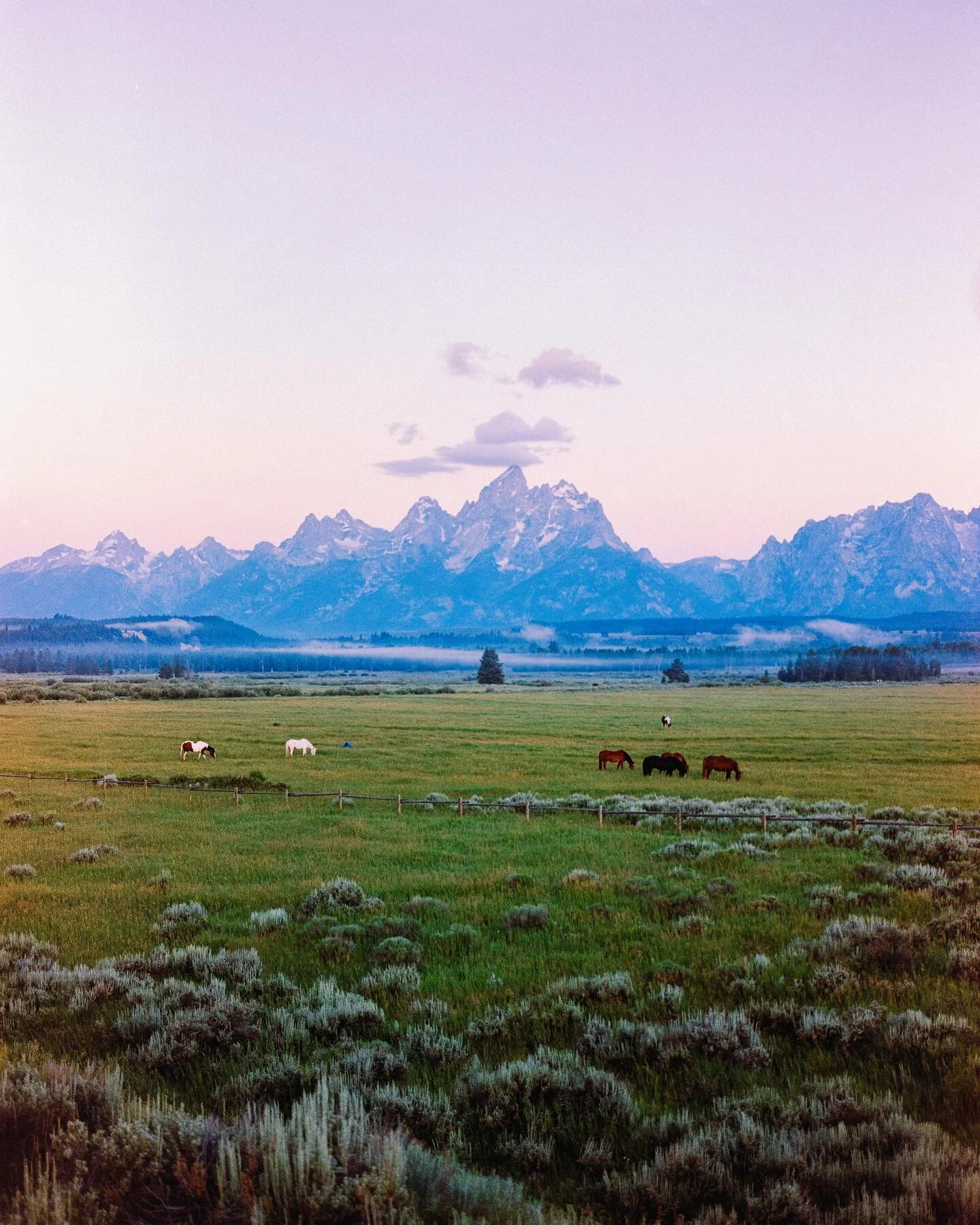 The morning cotton candy skies swirling over top the Tetons, makes the earlier wake up alarms worth it. 
@kodak | #mamiya7 | Portra 800