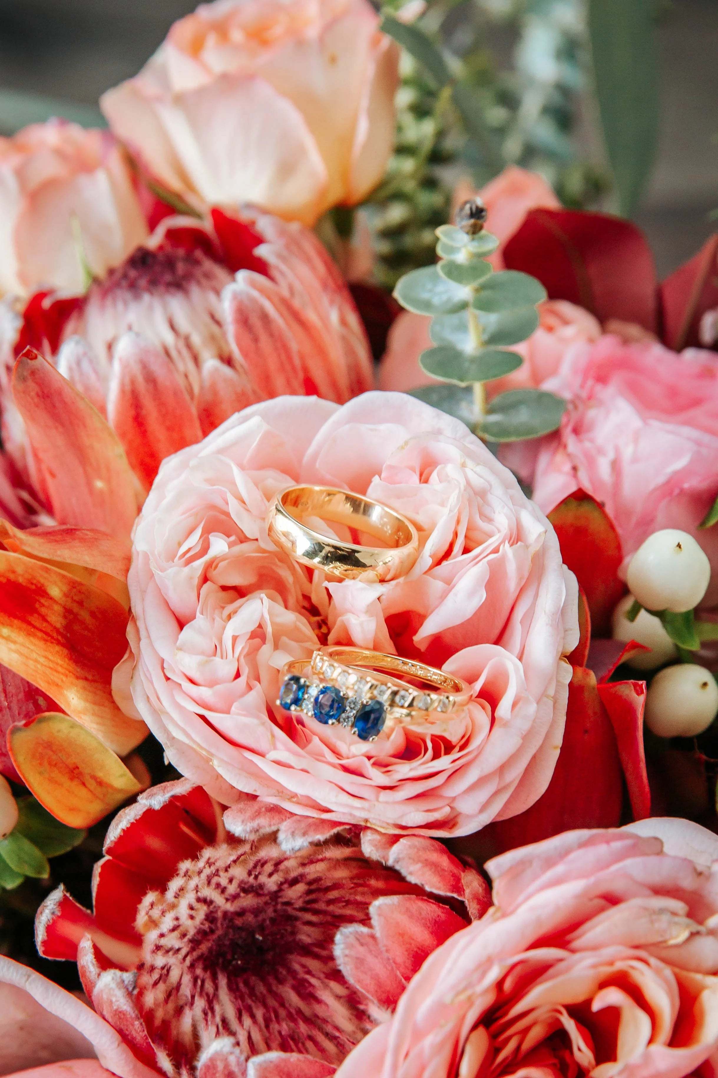 Maddy and Fraser Heard-112.jpg