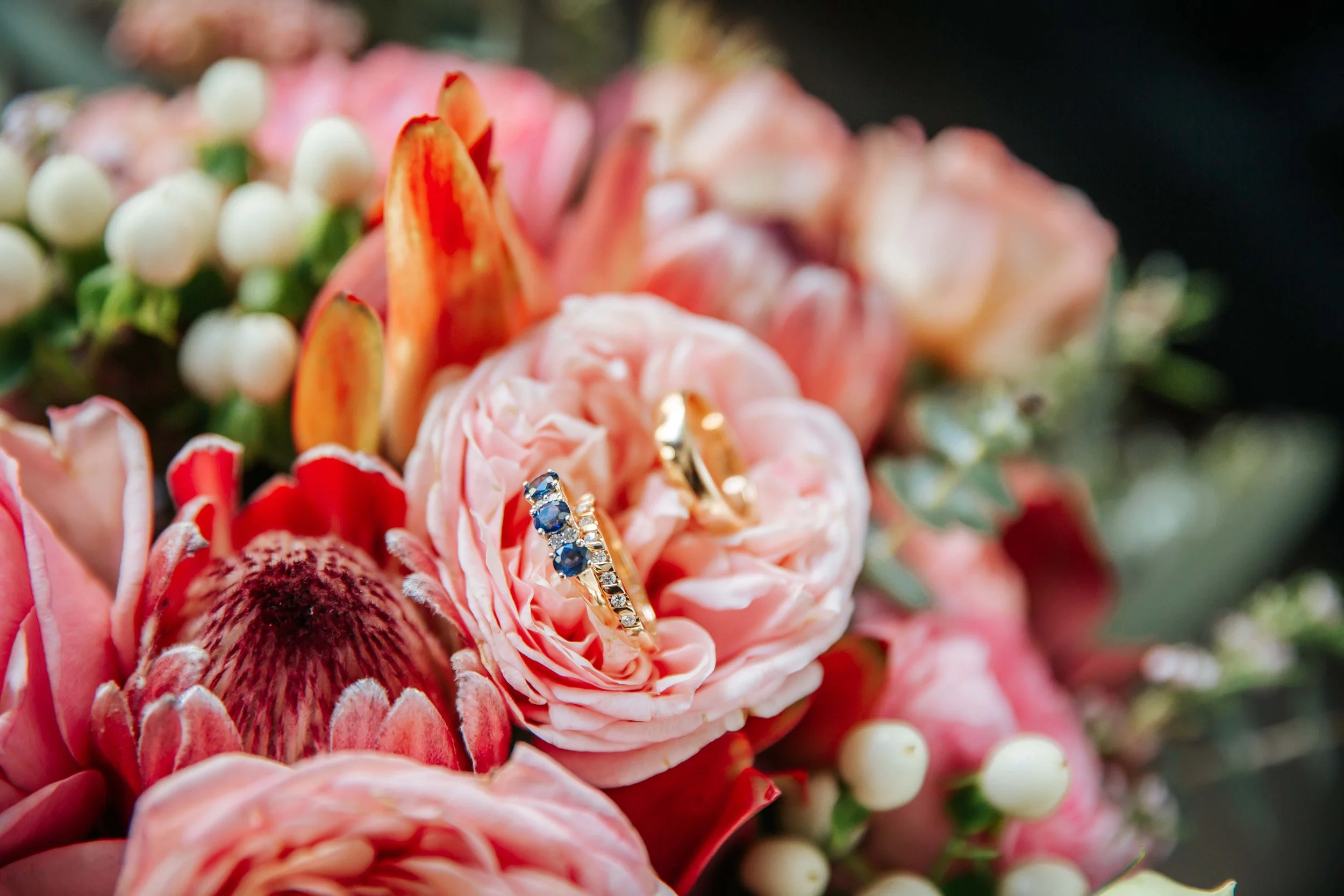 Maddy and Fraser Heard-111.jpg