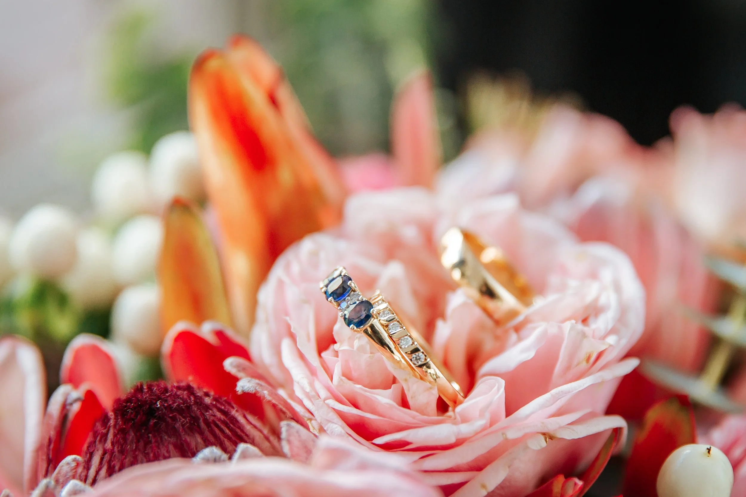 Maddy and Fraser Heard-110.jpg