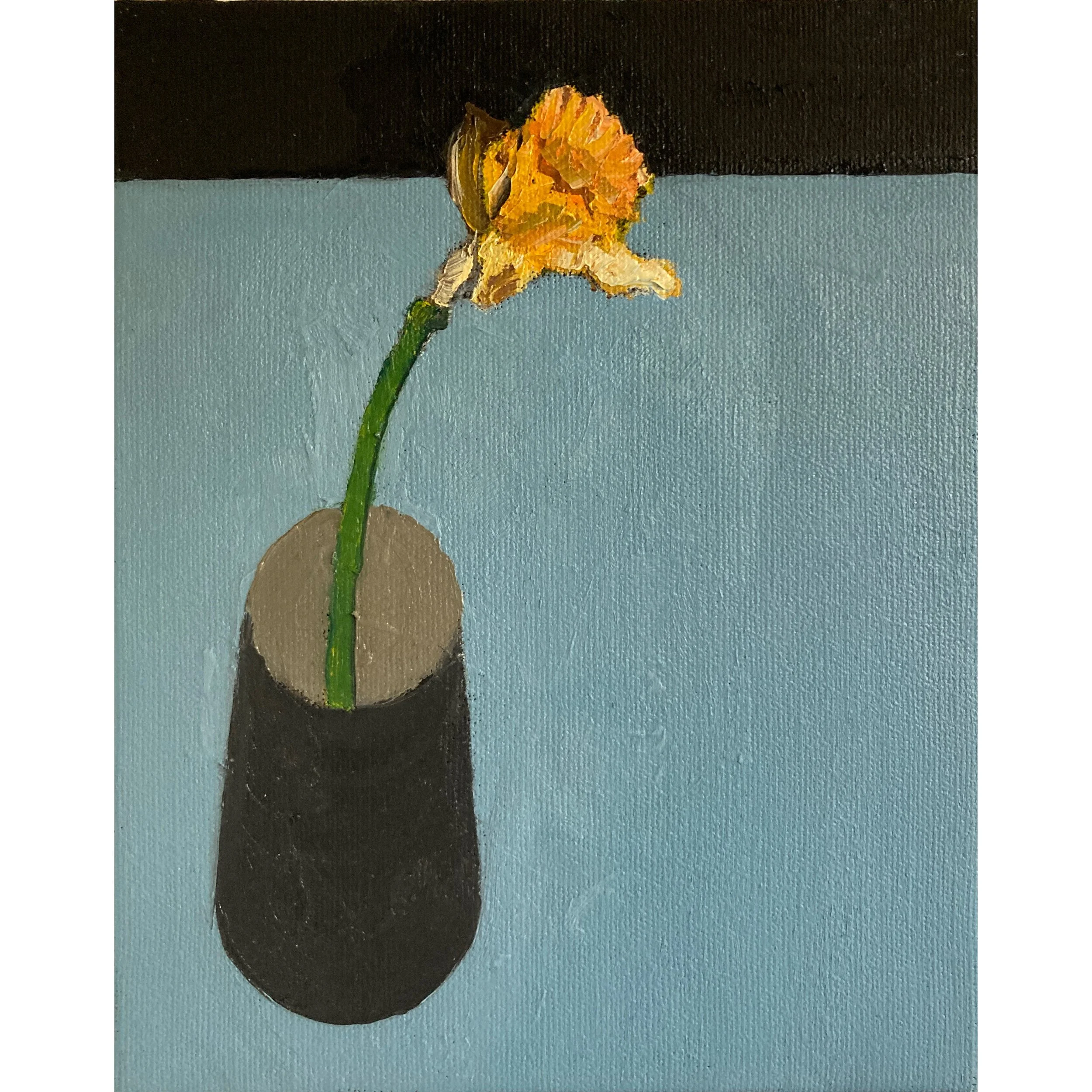 One Daffodil III