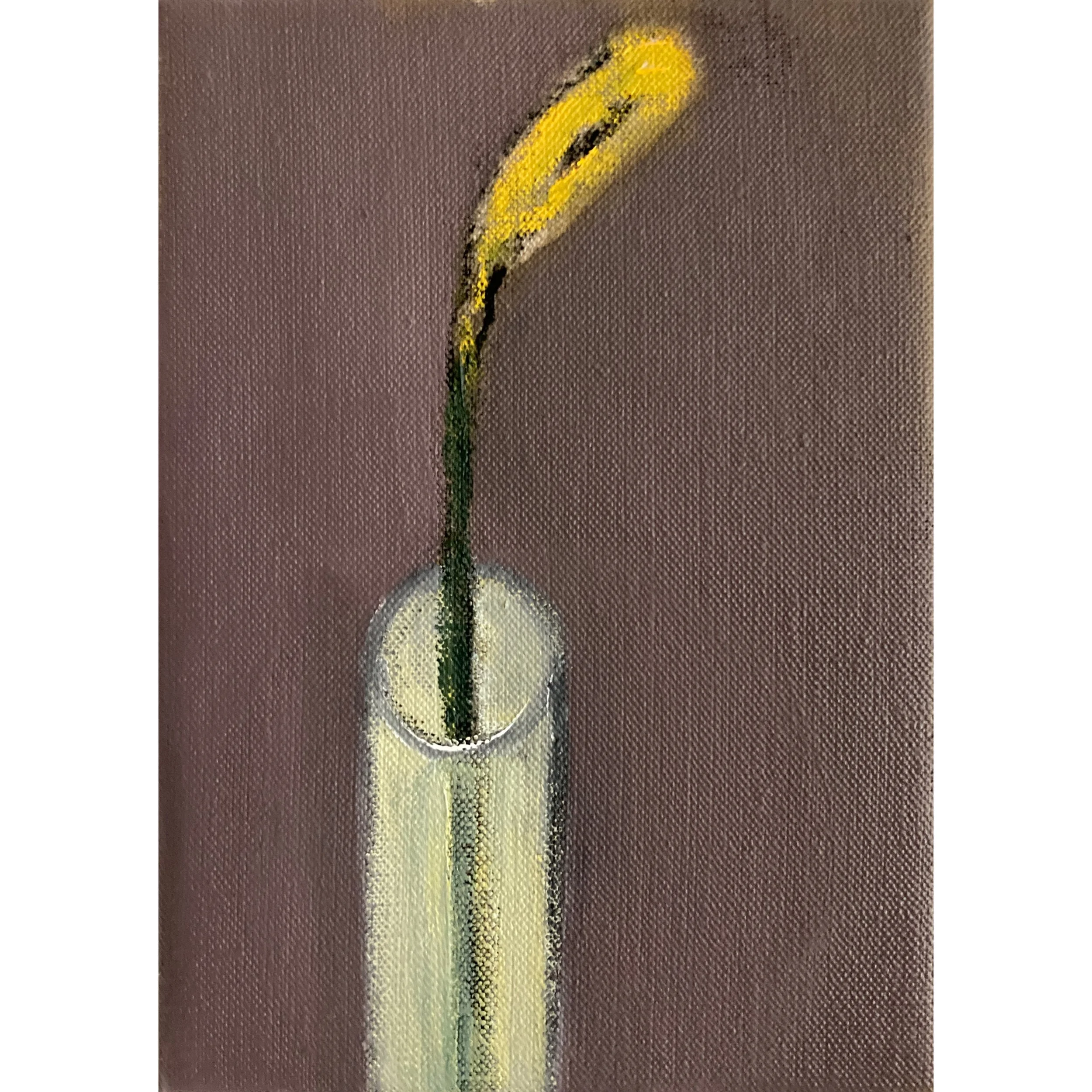 One Daffodil VII