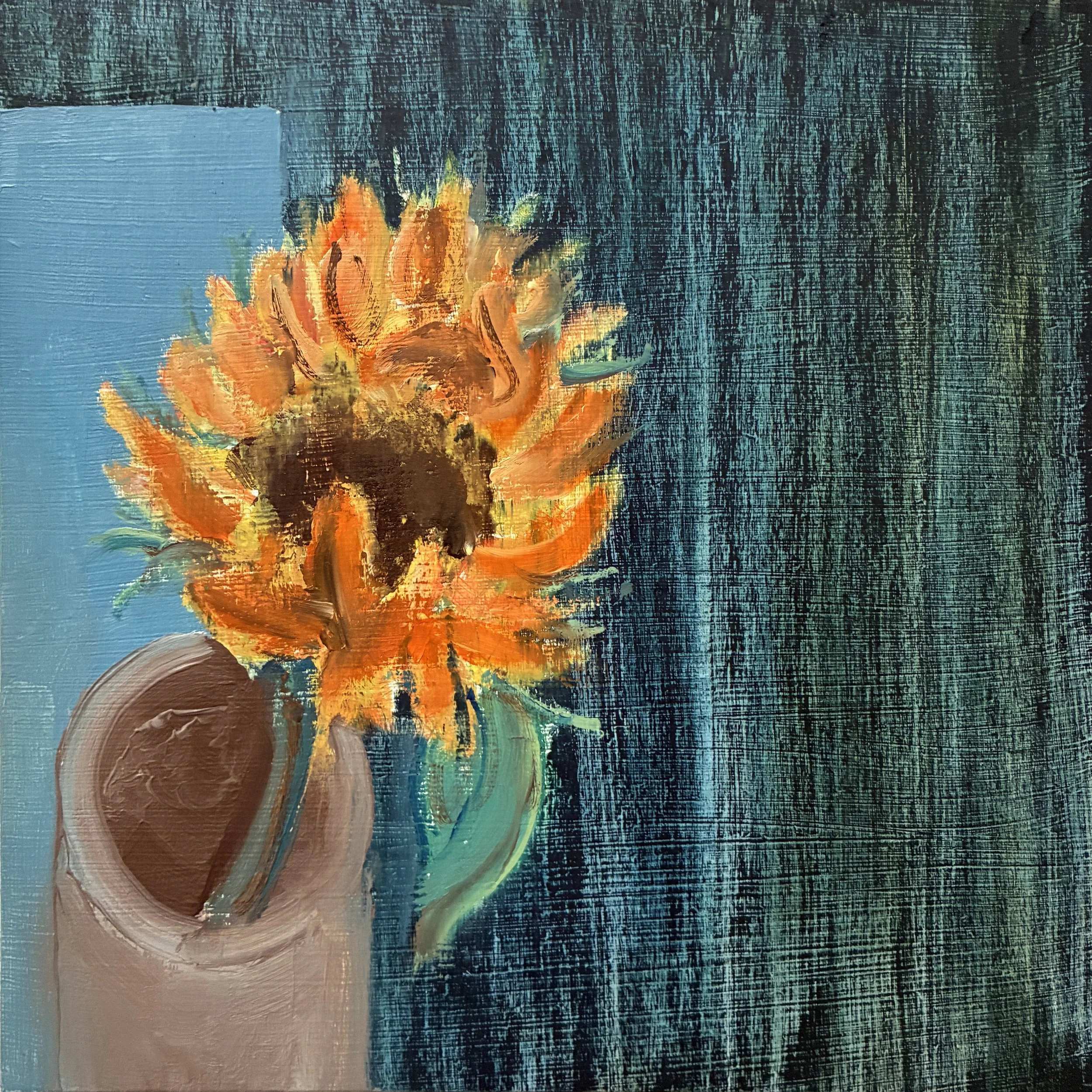 Sunflower 5