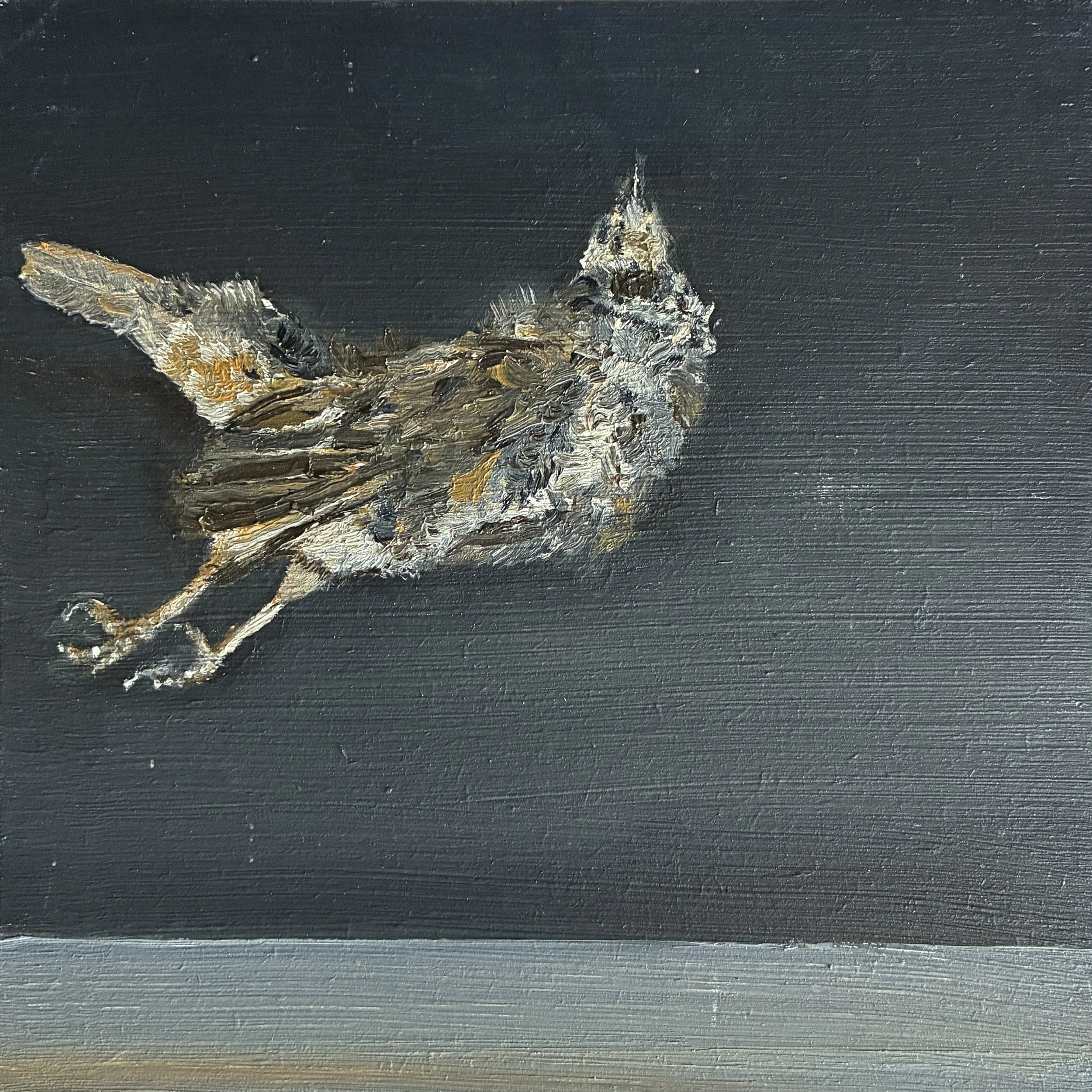 Single Dead Bird_15x15_2024.jpg