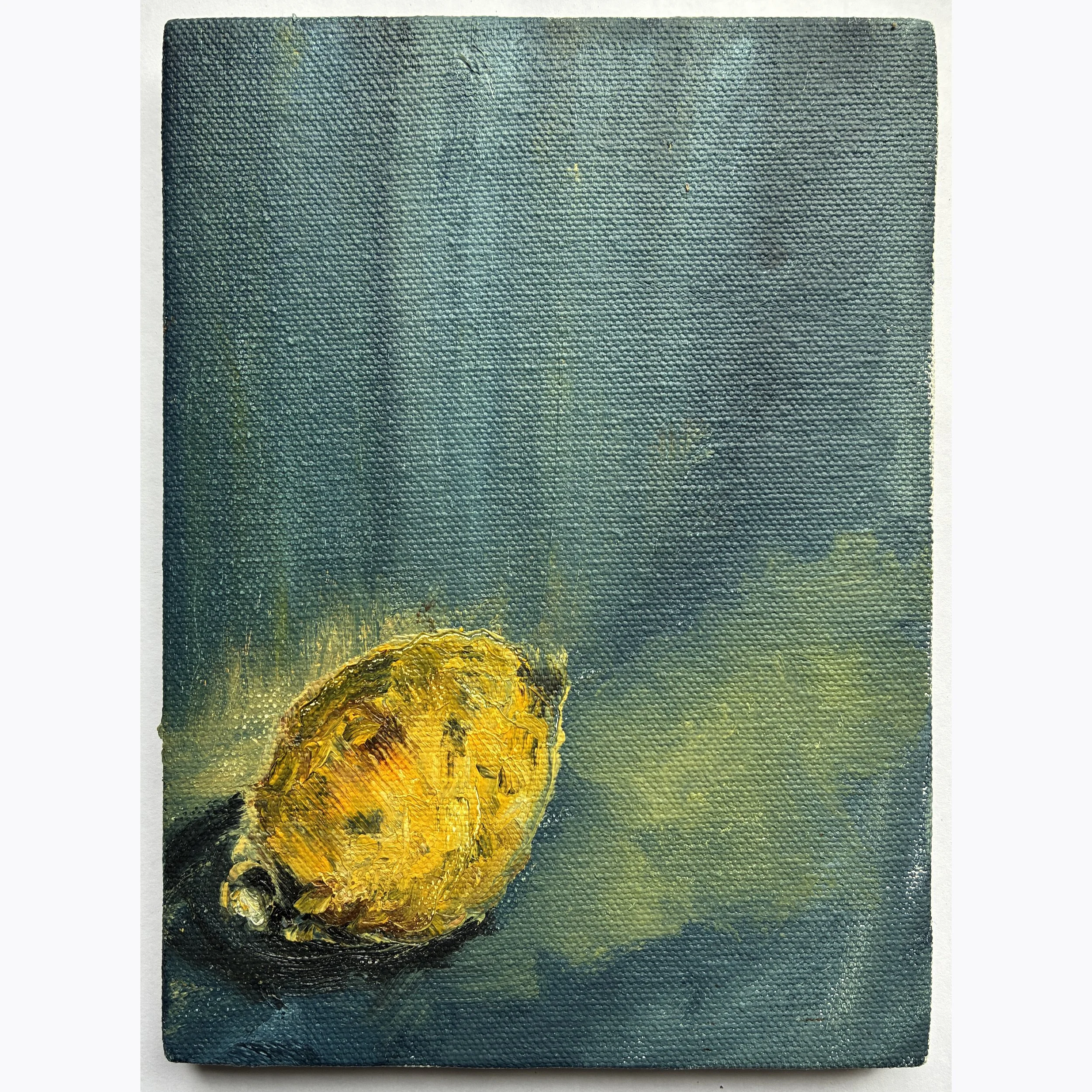 SQ_SingleLemon_18.5x14_2024.jpg