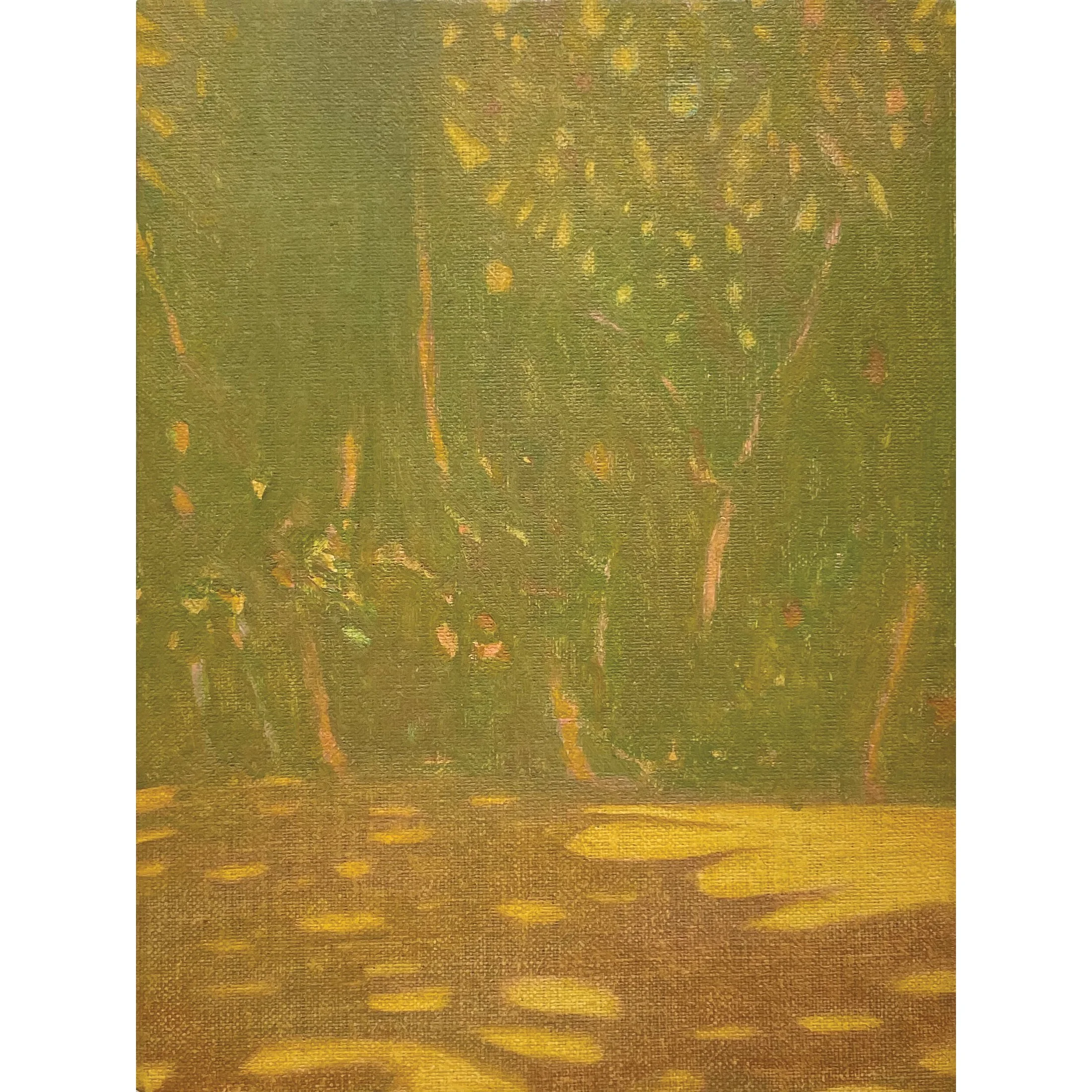 Salvatore Fiorello ?Canopy?, oi l on linen, 20 x 15cm, 2024.jpg