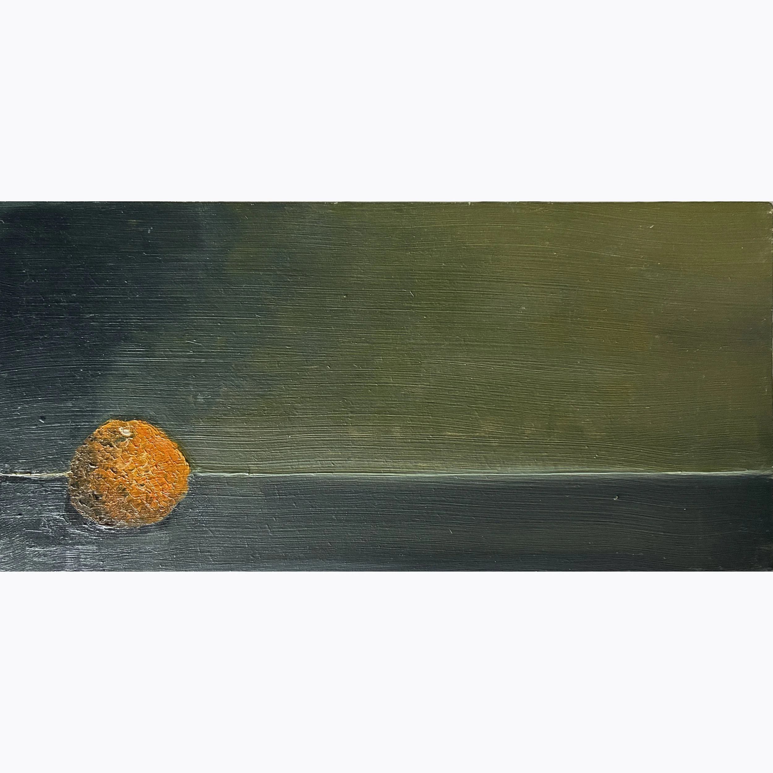 SQ_Single Satsuma_15x30_2024.jpg