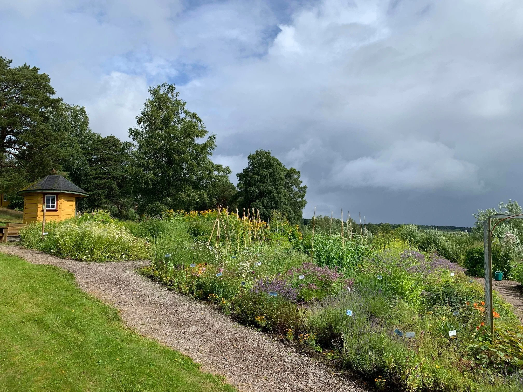 Sommerprogram