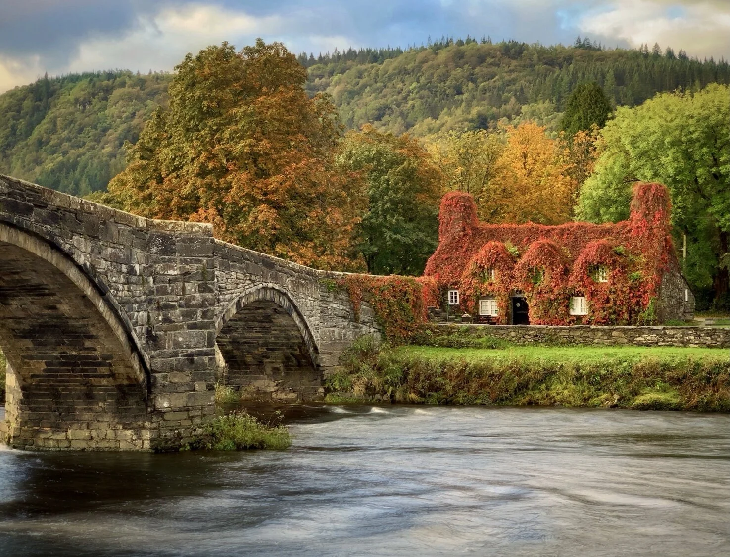 Copyright: Adrian McGarry