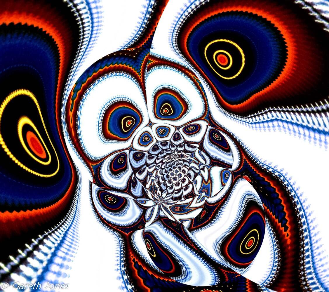 036 Owl_small.jpg
