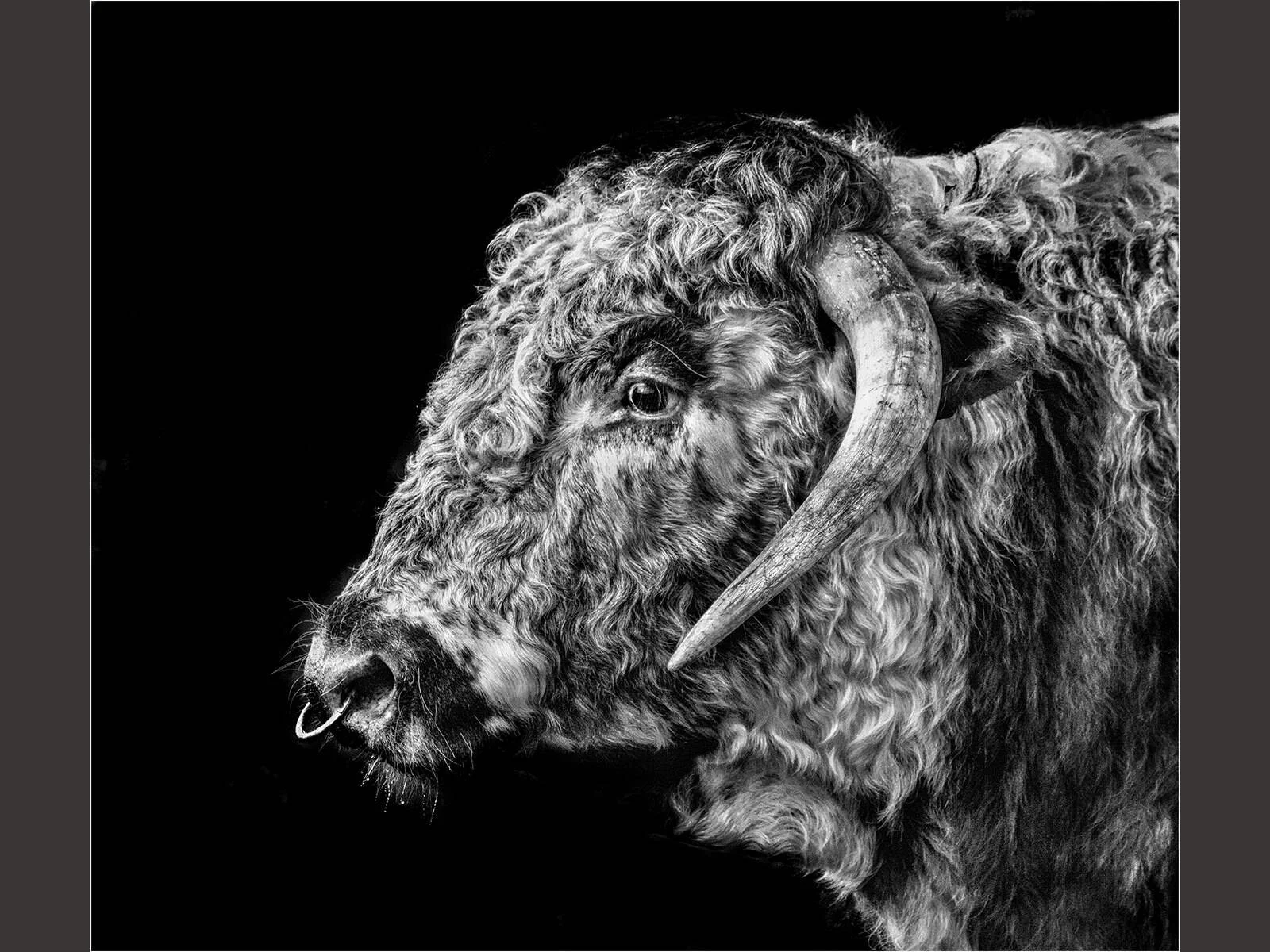 Advanced Prints: Open Monochrome