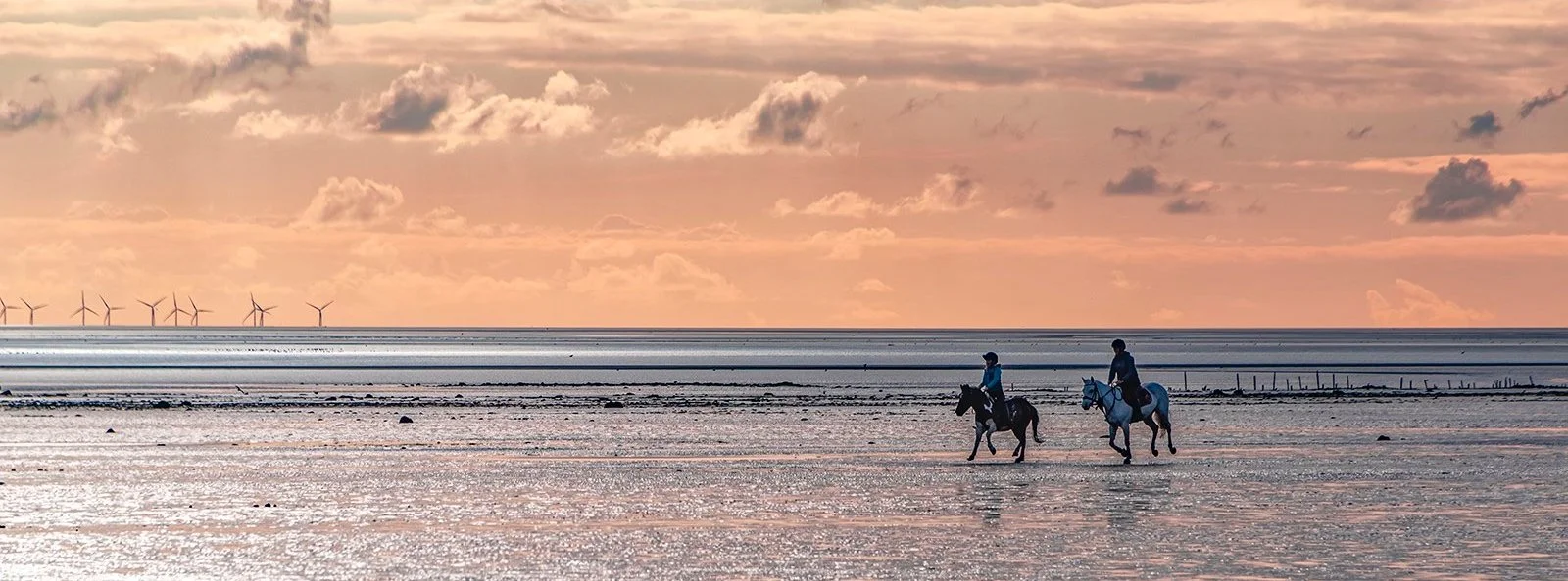 Advanced DPIs: Scapes