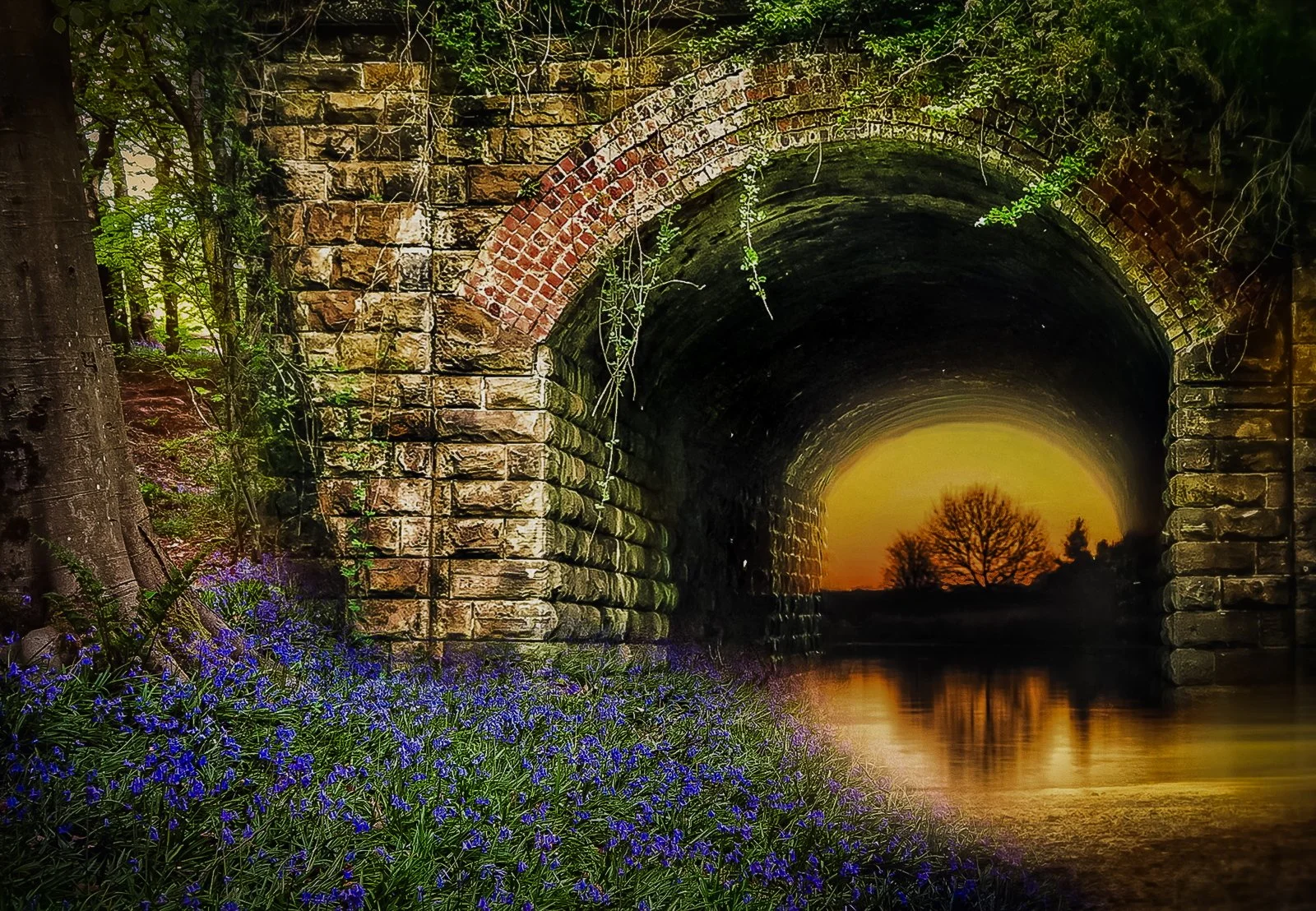 DPI and Print Awards