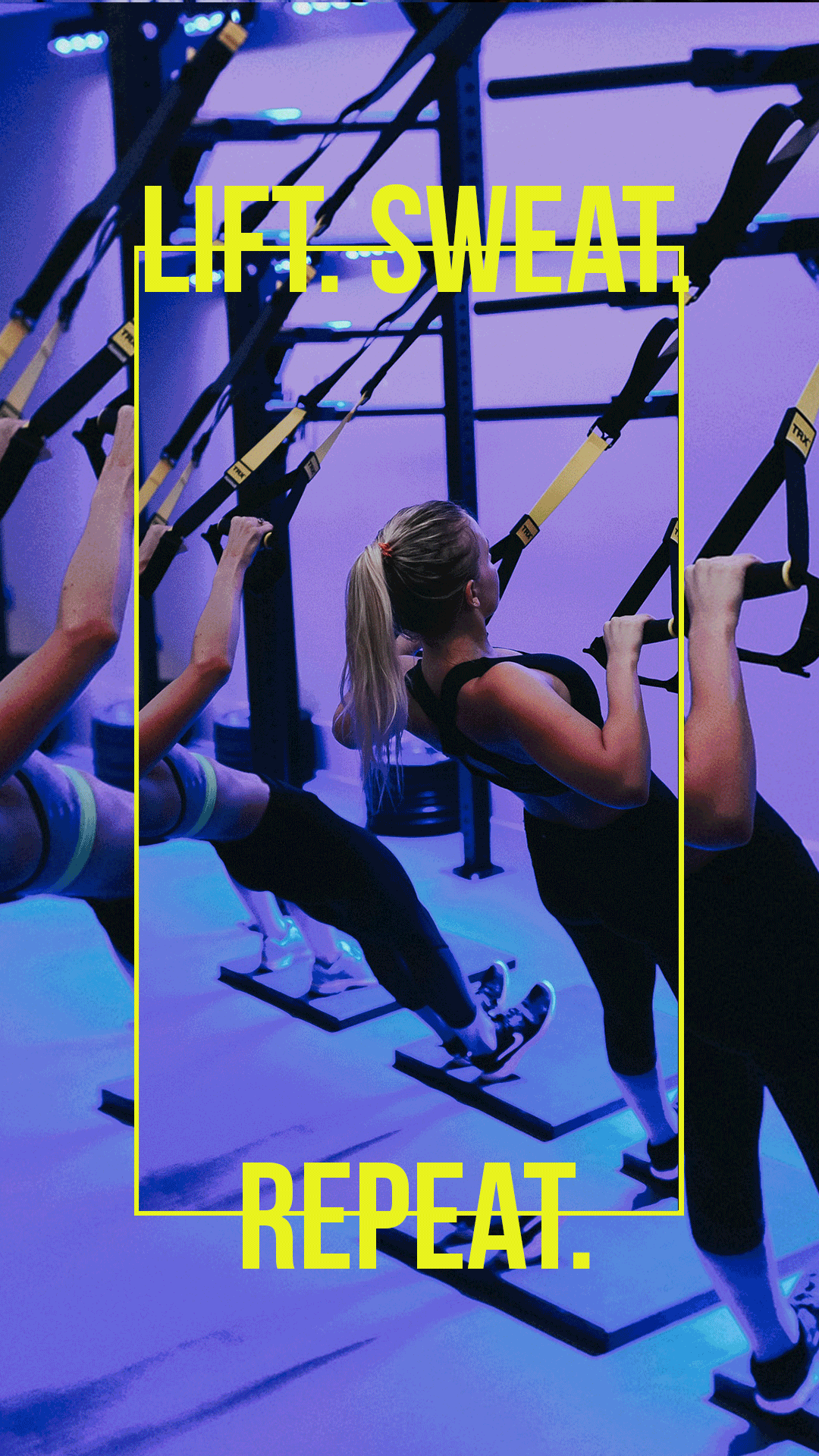 S&C.gif