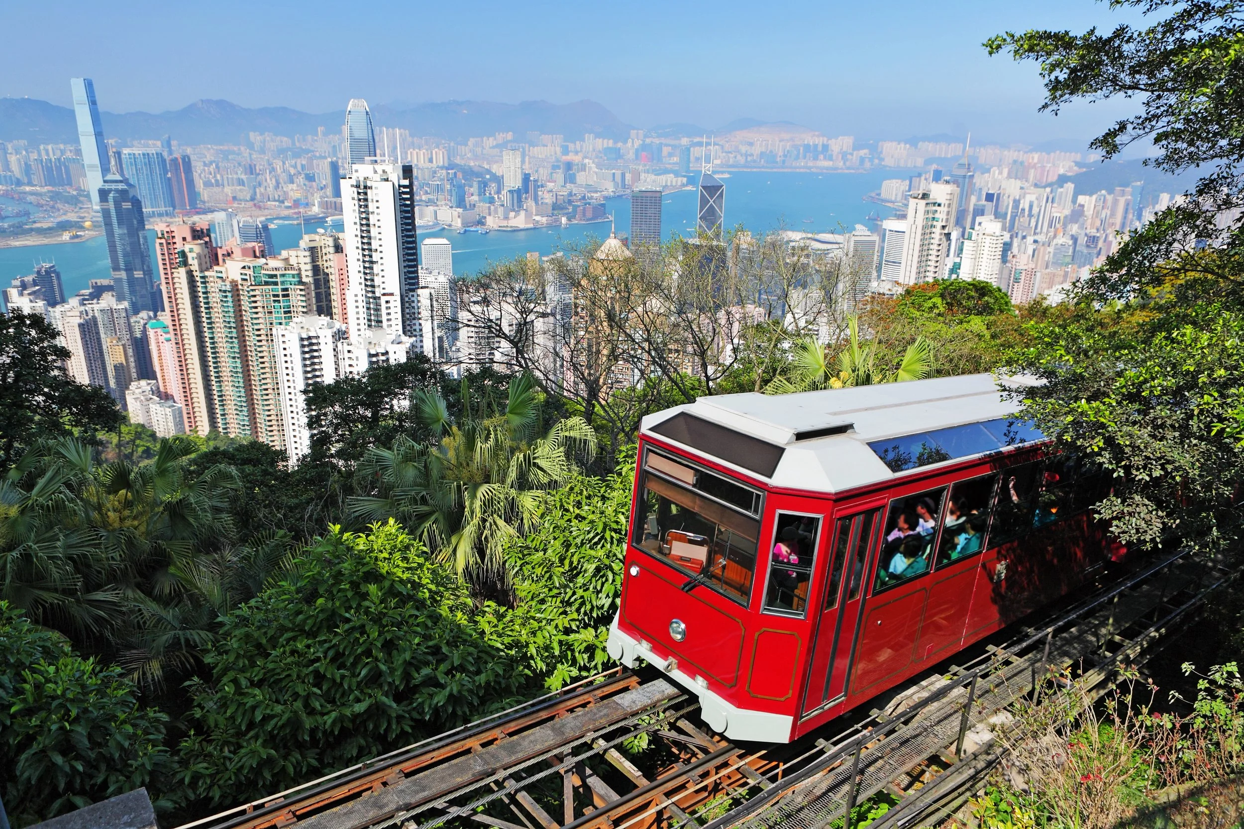 A red double-decker funicular tram ascending a lush green hillside with a cityscape of tall skyscrapers and a river in the background.