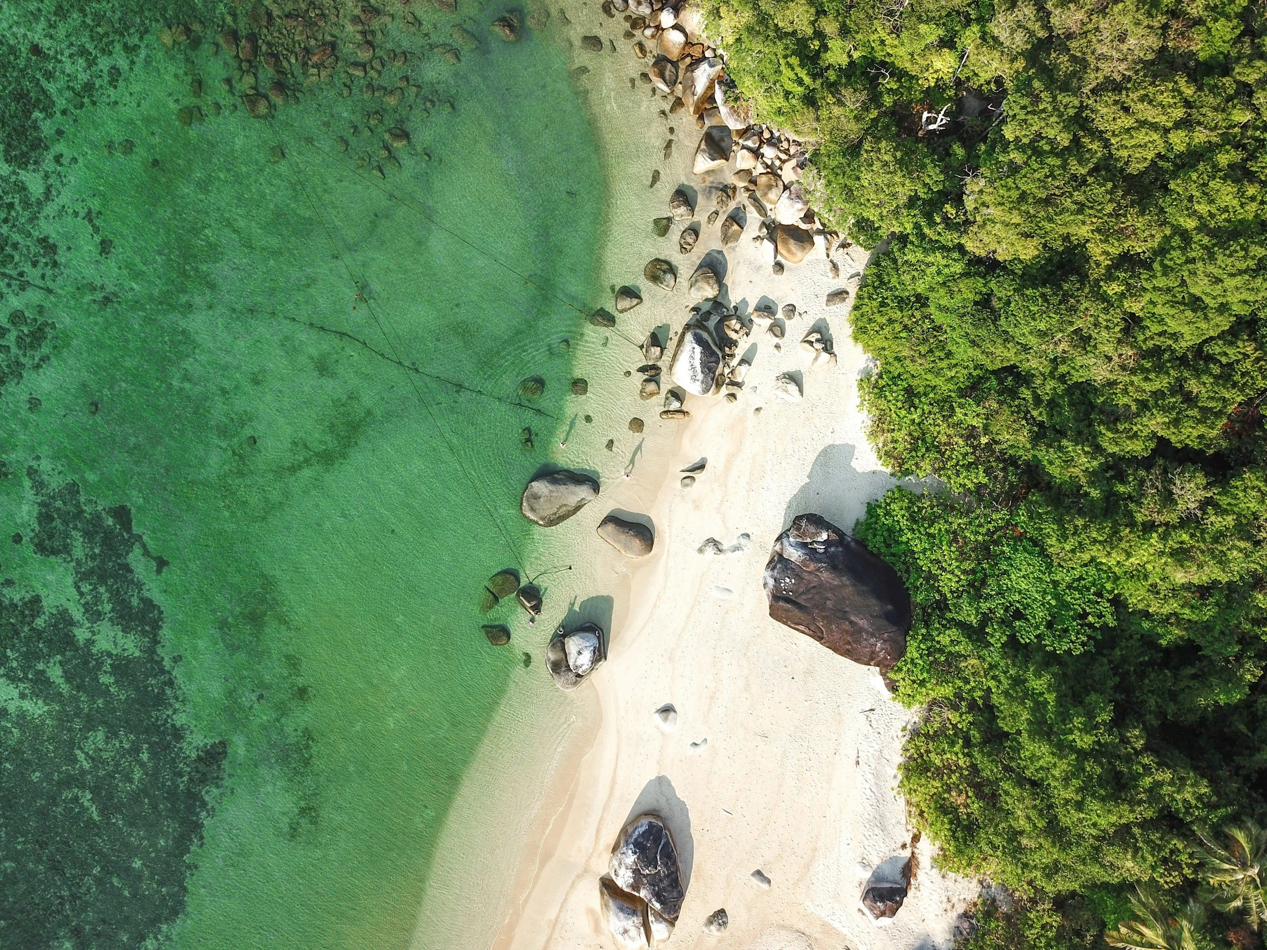 Aerial view of a beach with clear green water, large rocks along the shoreline, and dense green trees at the edge of the sand.