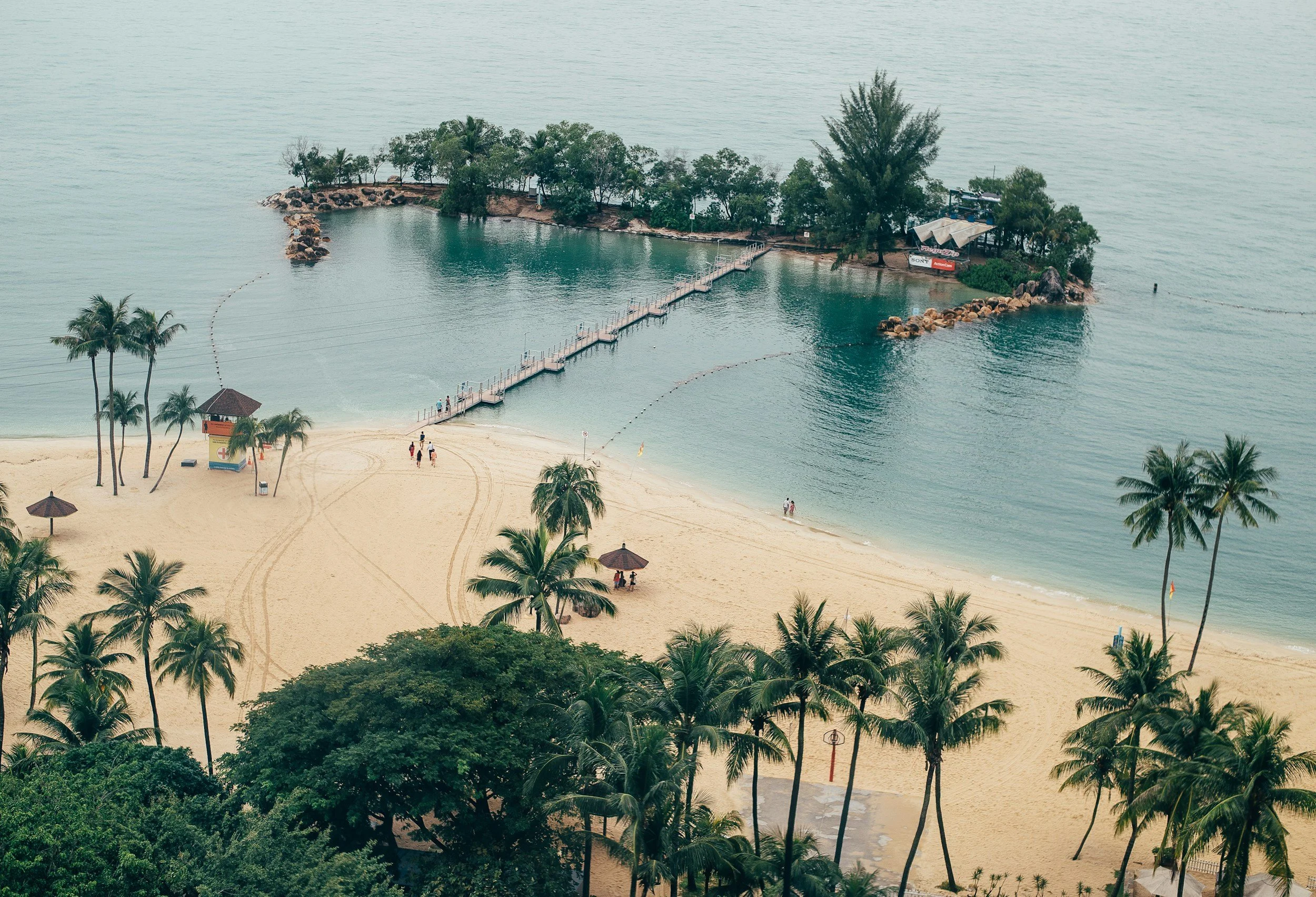 A tropical beach scene featuring a sandy shoreline dotted with palm trees, a small island with trees connected to the mainland by a pier, and a calm body of water.