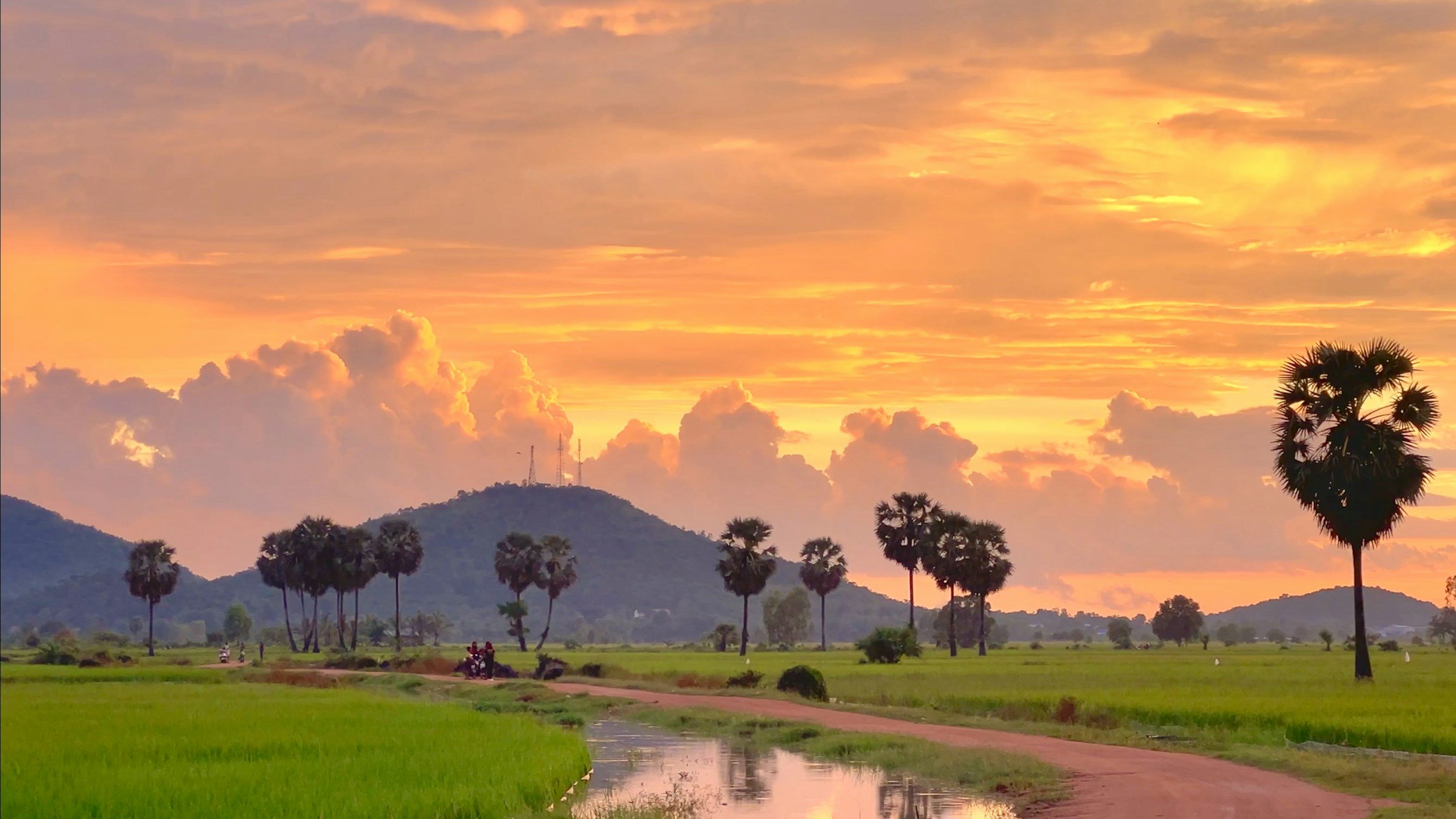 Sunset over a rural landscape with green fields, palm trees, a dirt road, and hills in the background.