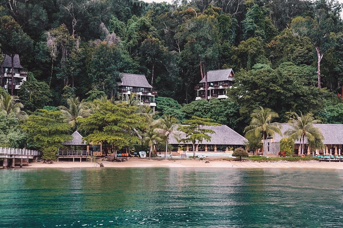 Beachfront resort with thatched-roof buildings, surrounded by lush green trees on a hillside, next to calm water.