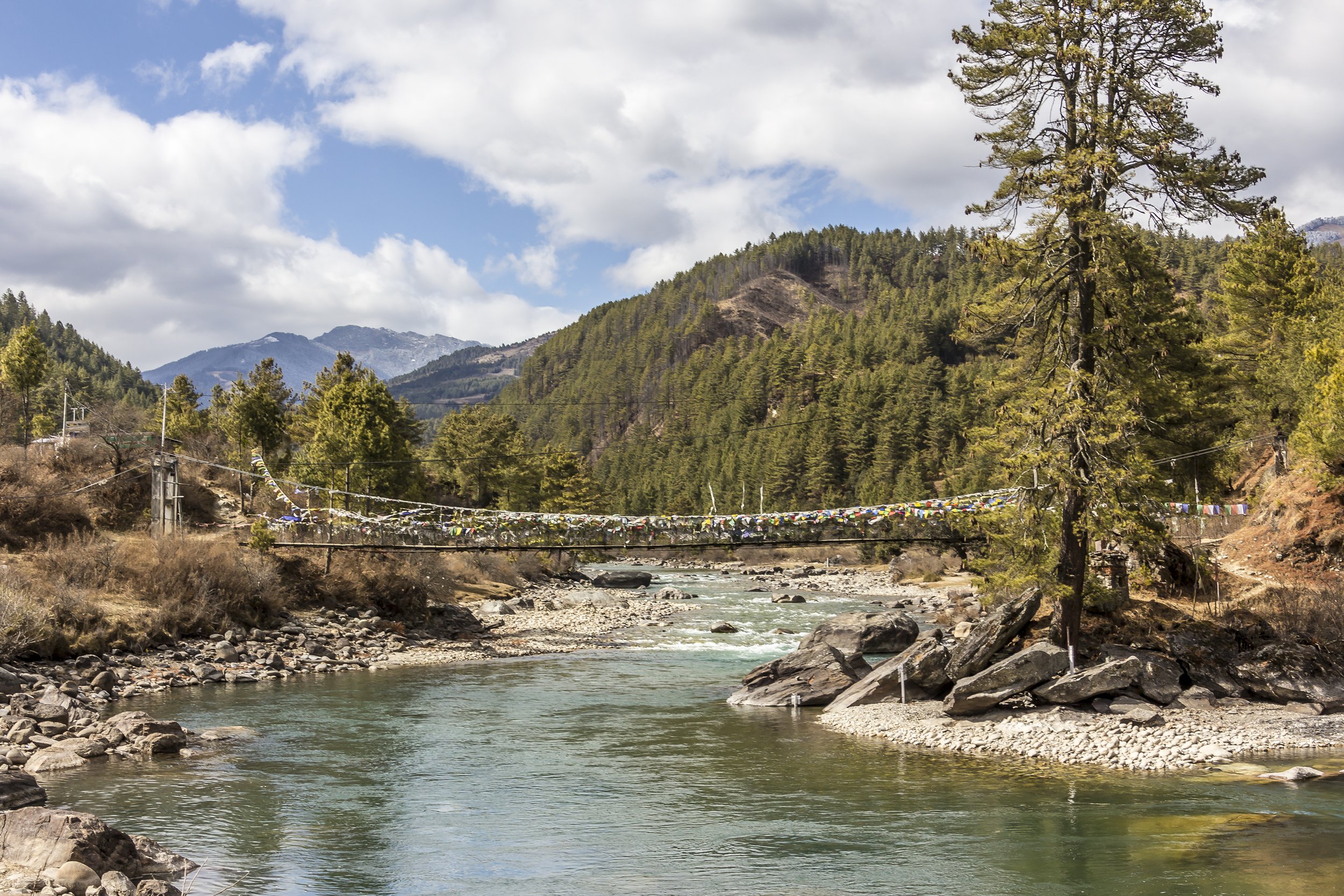 A river flowing through a mountainous landscape with trees on both sides, cloudy sky above, and mountains in the distance.