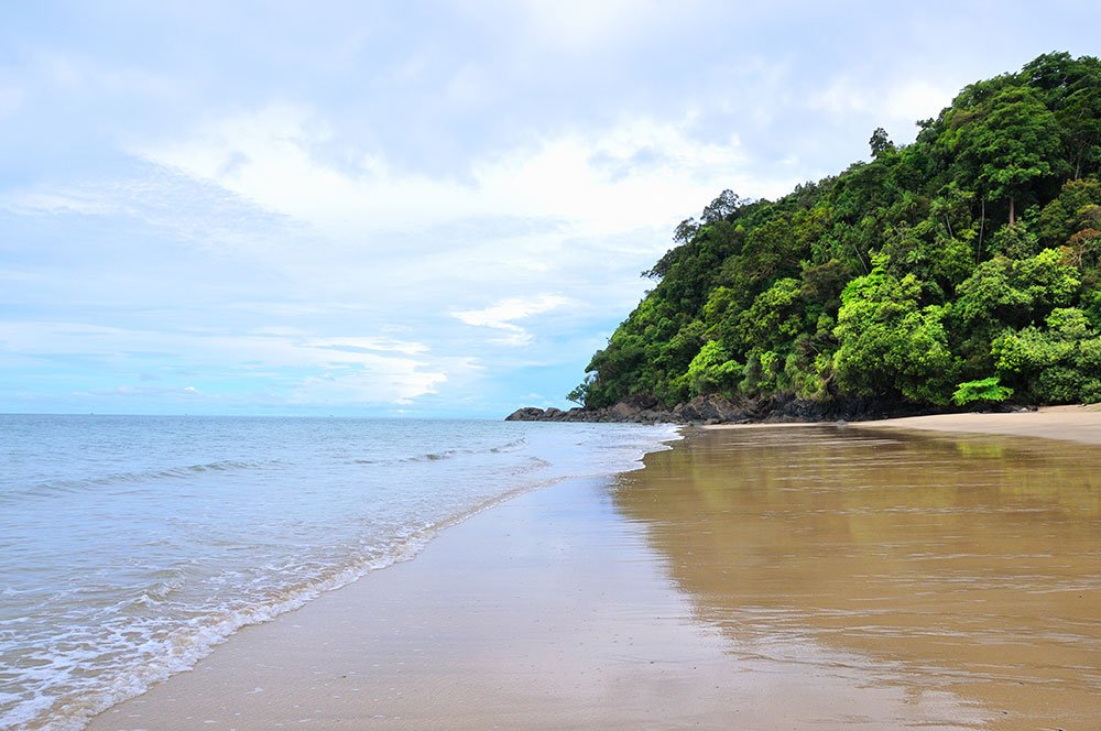 Sunny beach with calm ocean waves, a sandy shoreline, and lush green trees on a hill in the background.