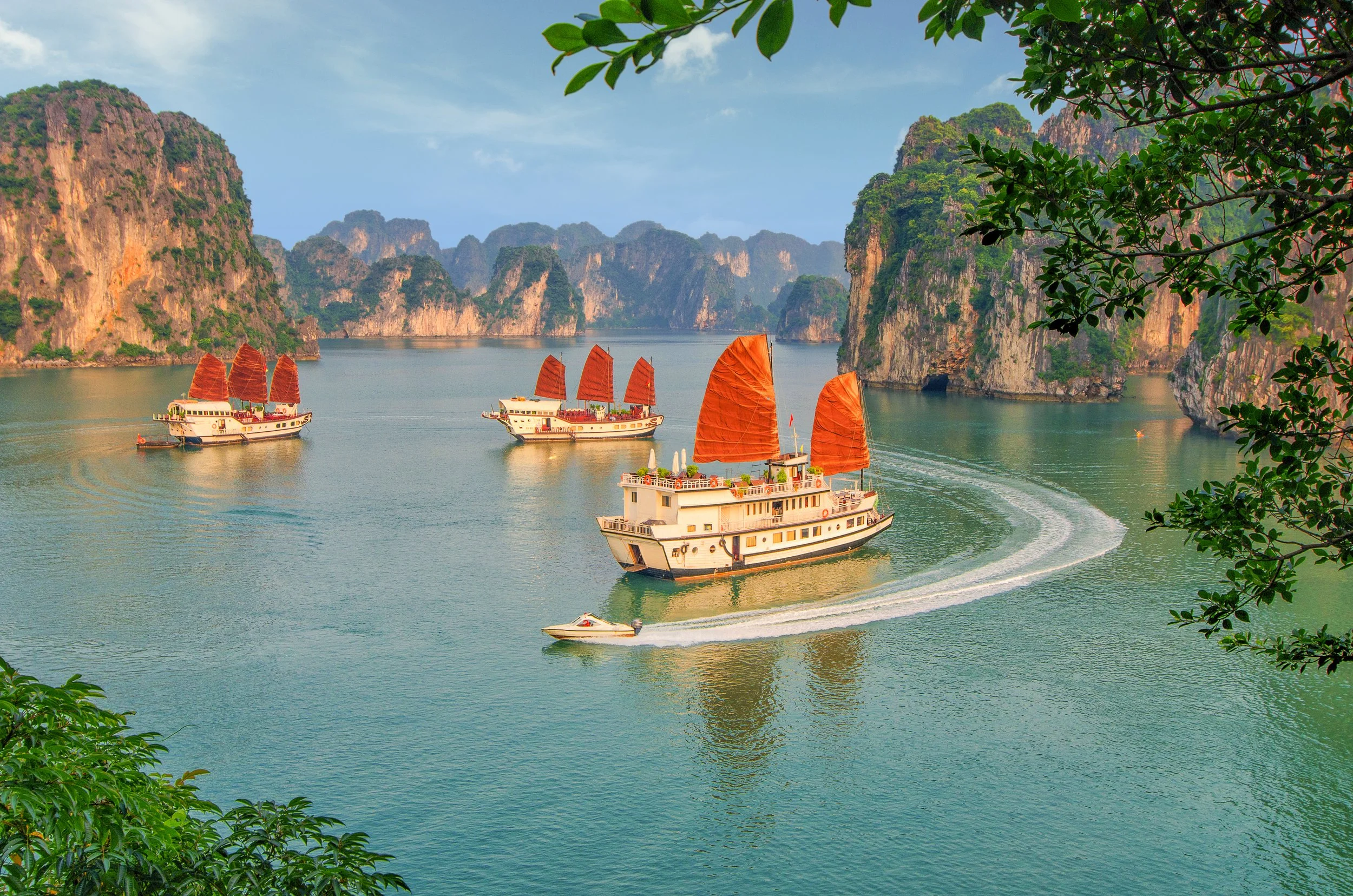 Three traditional Vietnamese junks with red sails sailing on a calm bay surrounded by limestone karsts, with green foliage in the foreground.