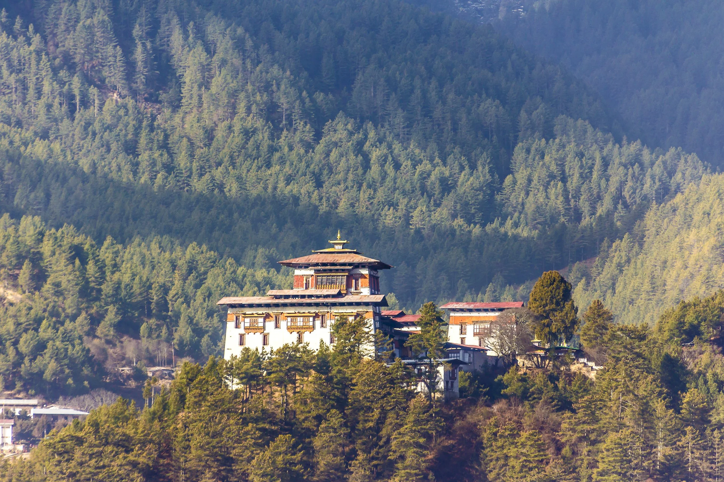 A scenic view of a hillside with a traditional-style building in foreground, surrounded by trees, and a dense forested mountain in the background.