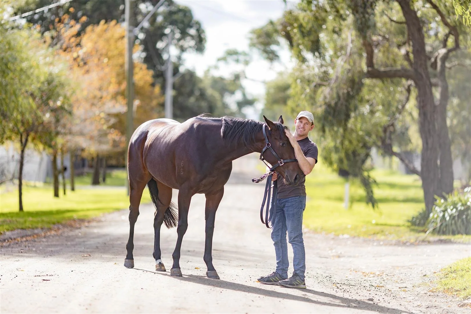 Dan’s Story - Building a Stable from Scratch