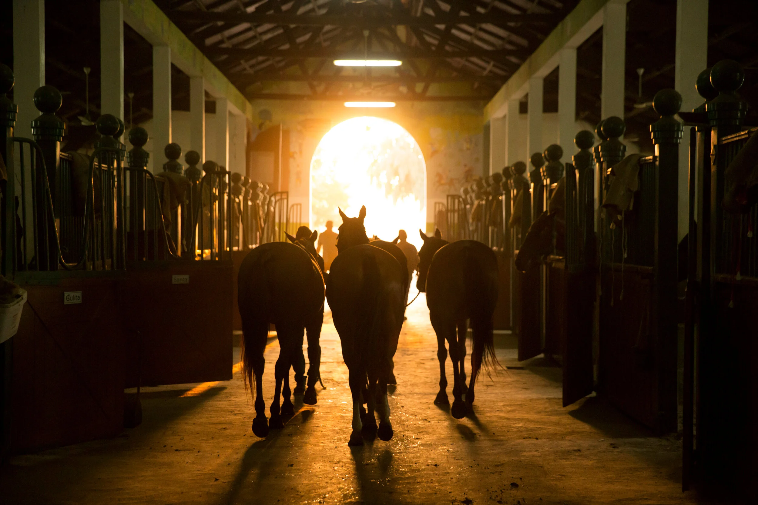 Desert Palm Polo Estate Dubai - The Real Oasis In The Desert