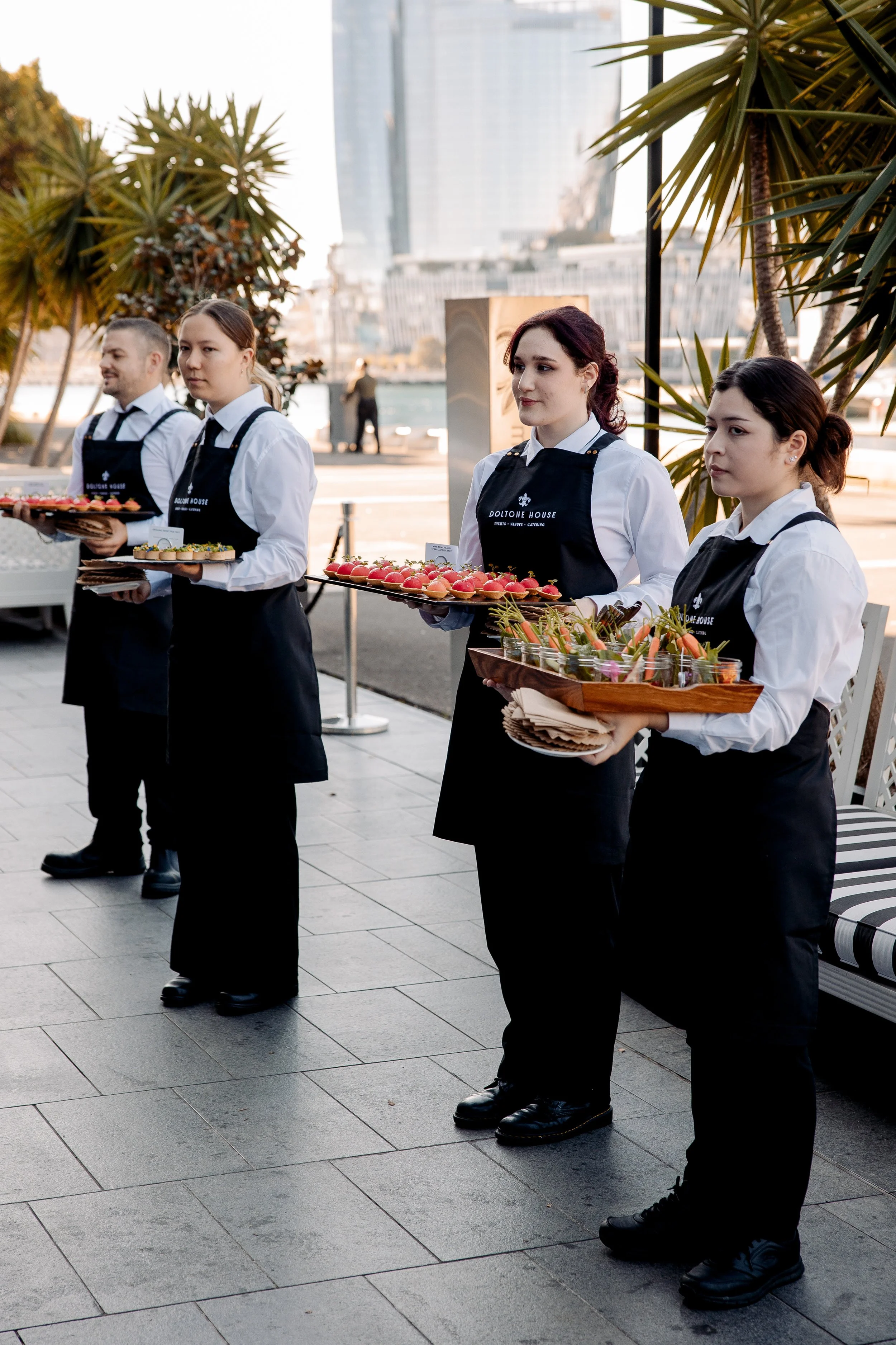 226 DOLTONE SUSTAINABILITY 20250611.jpg