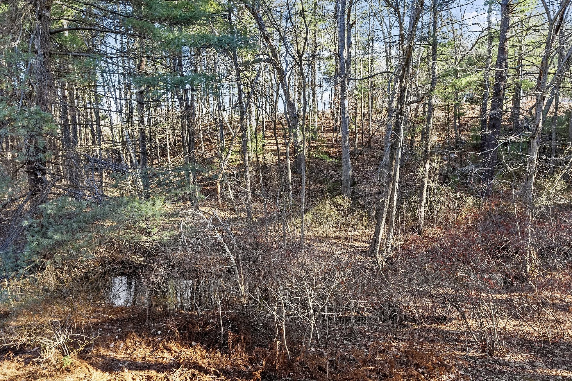 48 Meadowbrook Road Bedford Massachusetts Job 37638 0013 MLS.jpg