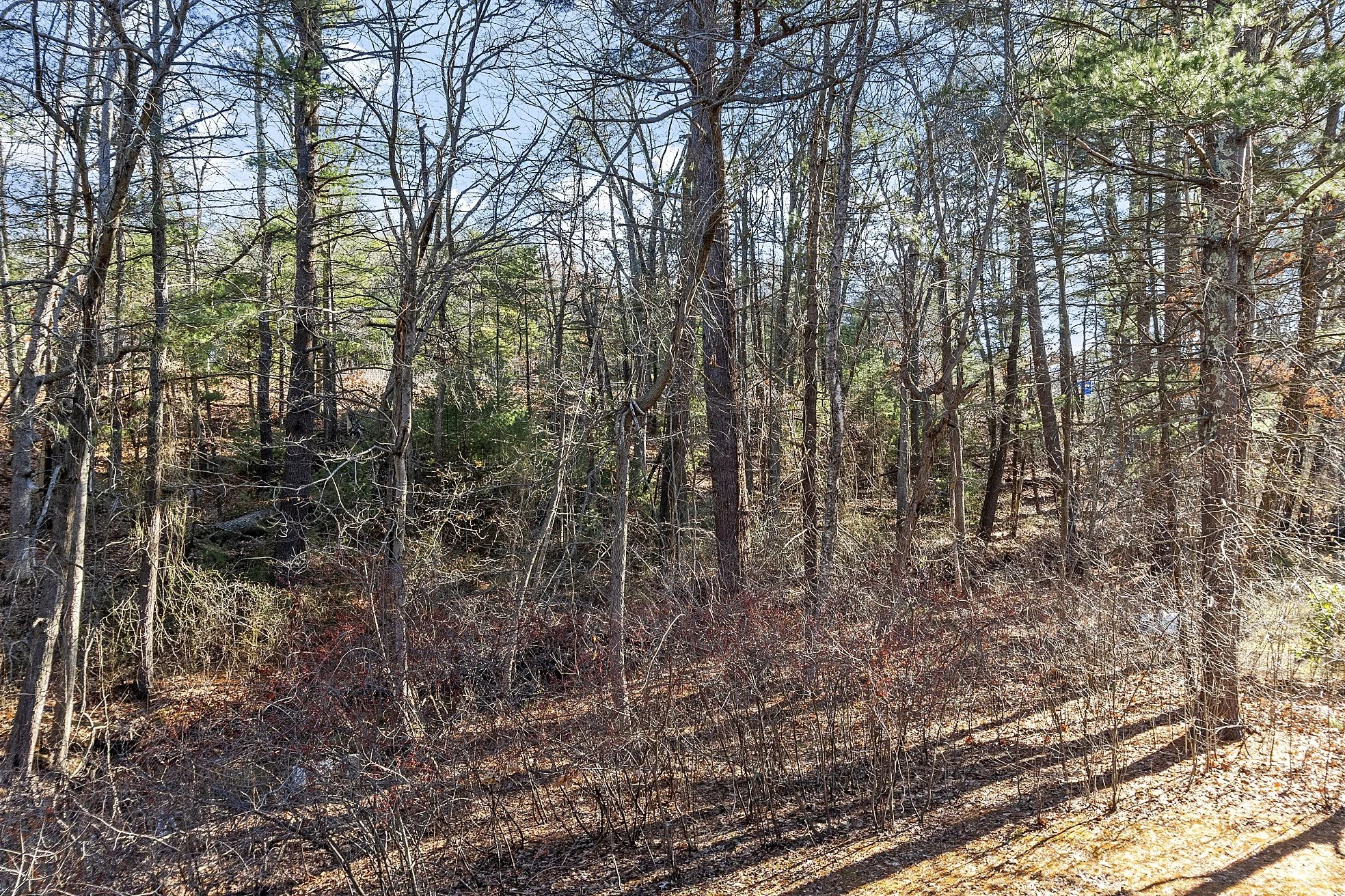 48 Meadowbrook Road Bedford Massachusetts Job 37638 0014 MLS.jpg