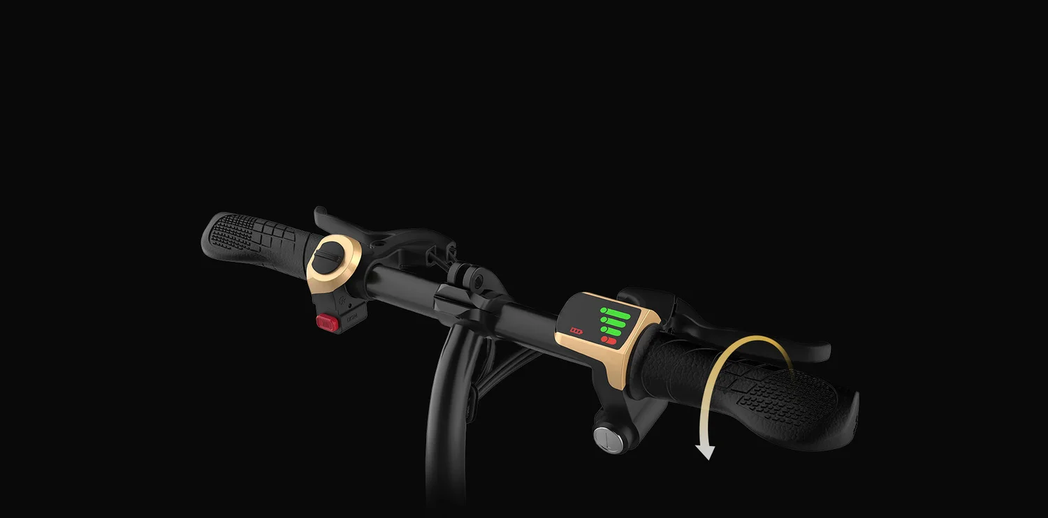 P2 / P2F MINI E-BIKE — INMOTION USA